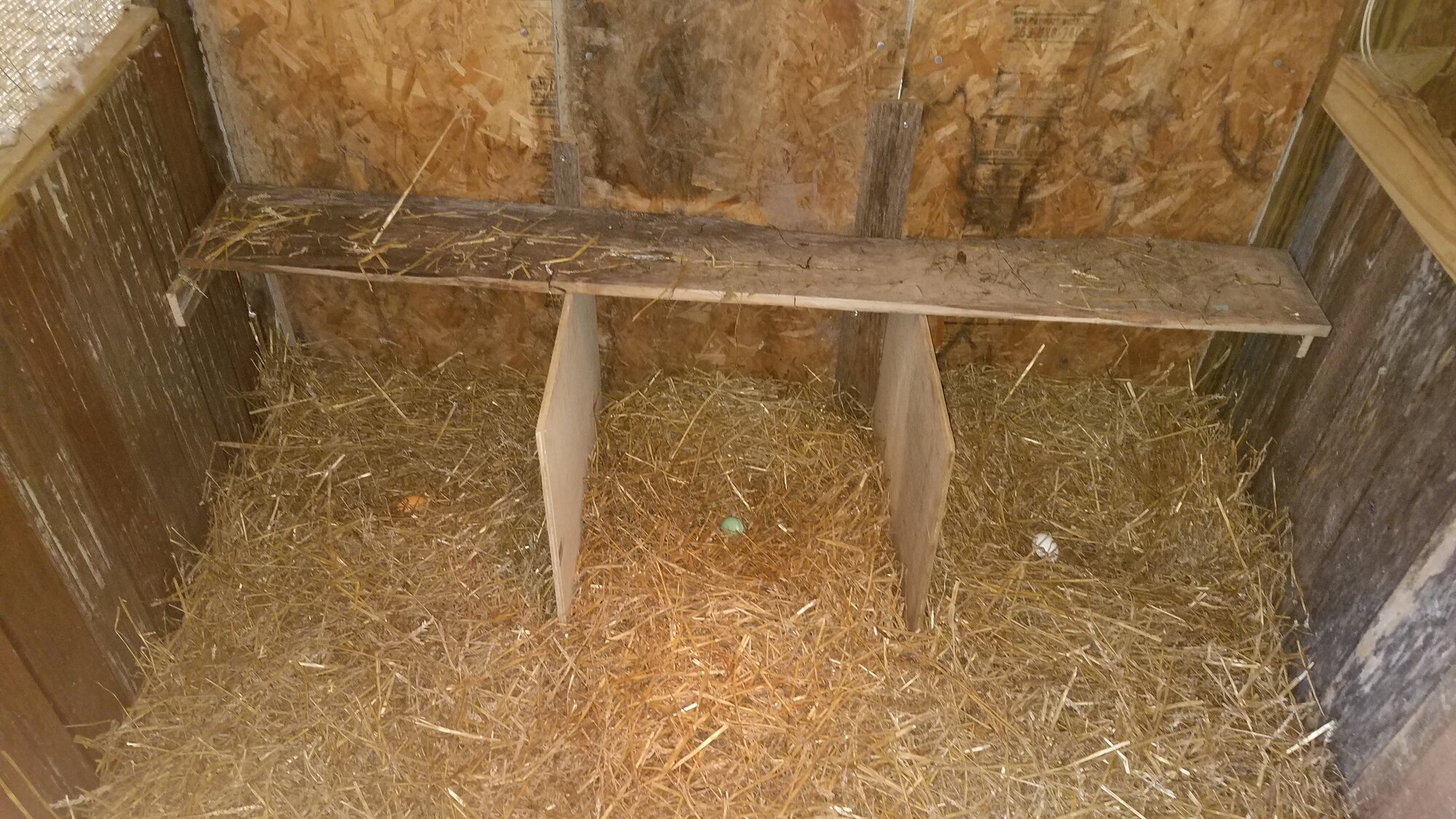 Three nest boxes in the duck-house