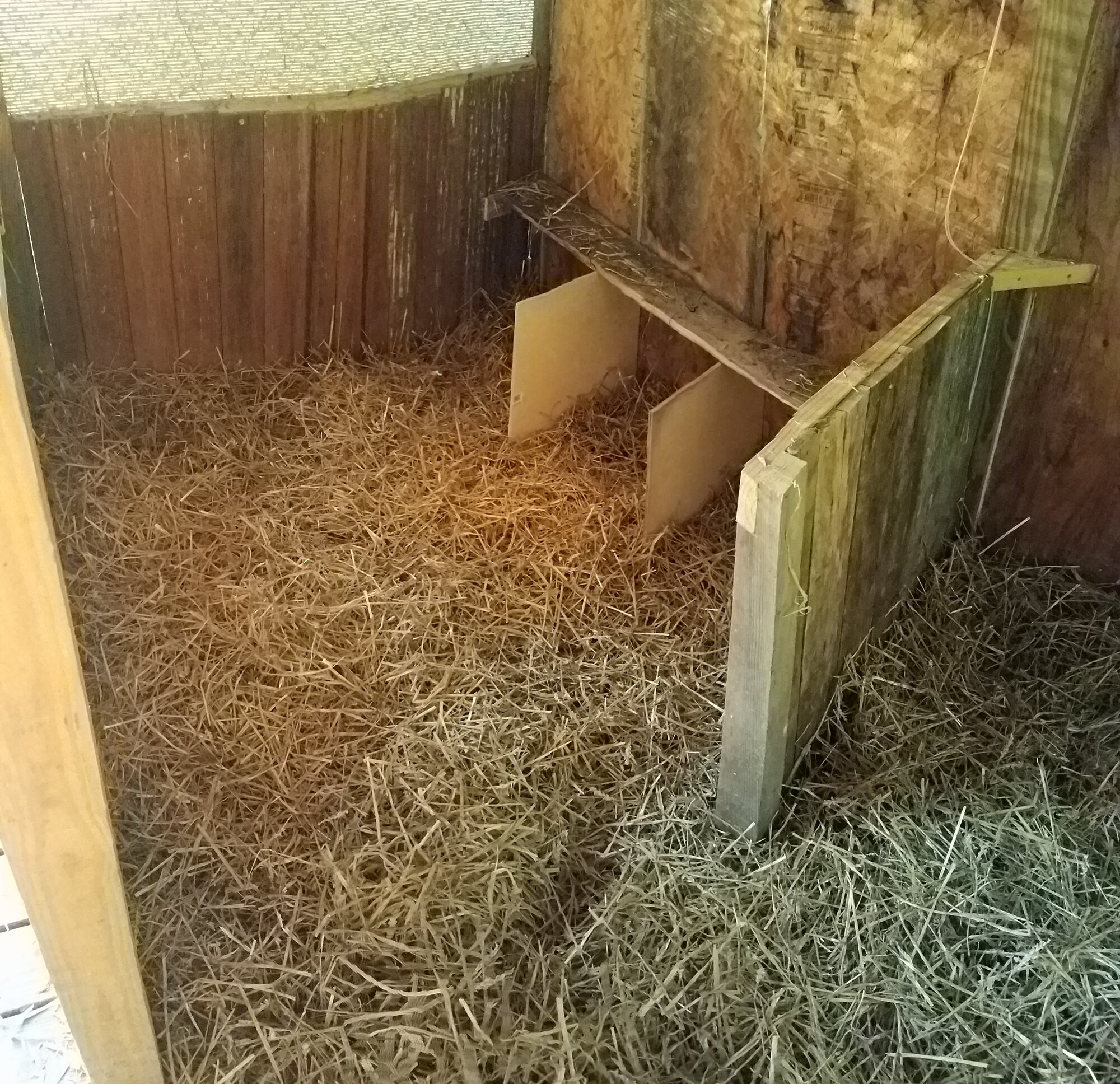 Three nestboxes in one bedroom