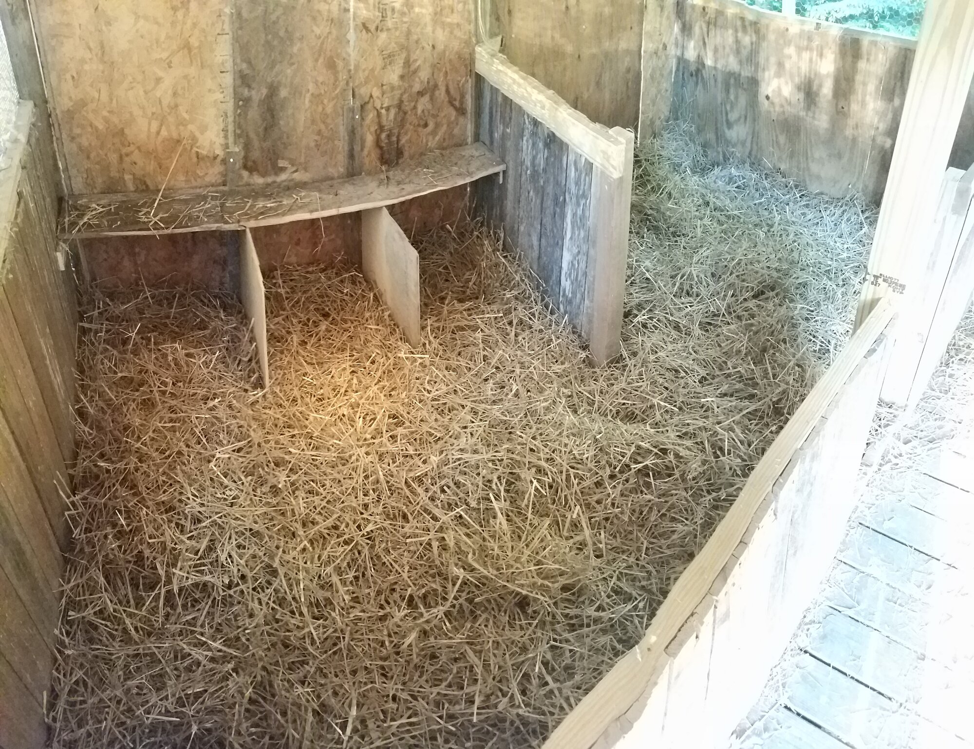 Three nestboxes in the duck-house