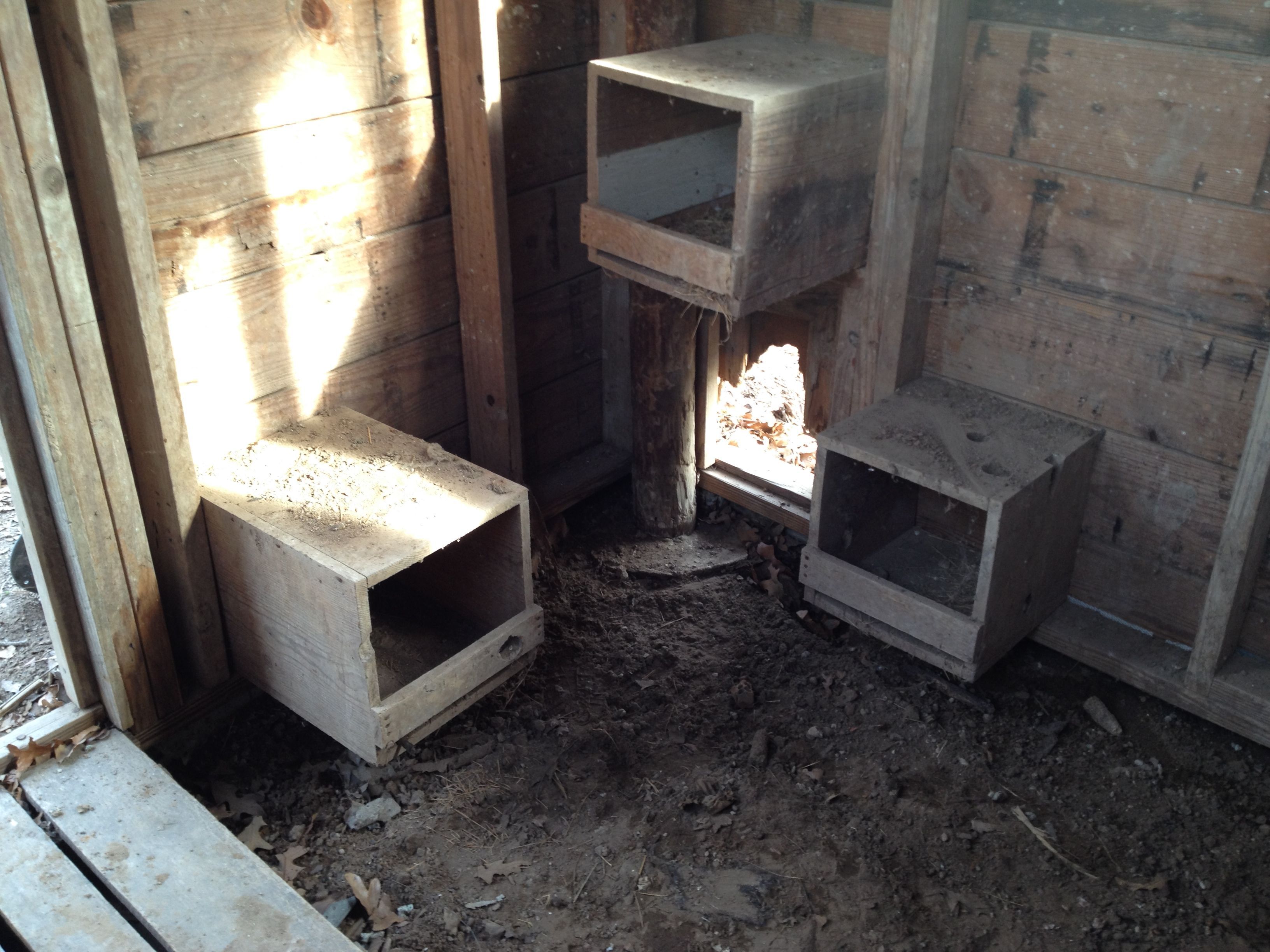 Three other nesting boxes. The chicken door at the bottom of the pic needs to be replaced. I have purchased materials to make a new door for both chickens and Balloonjuice.