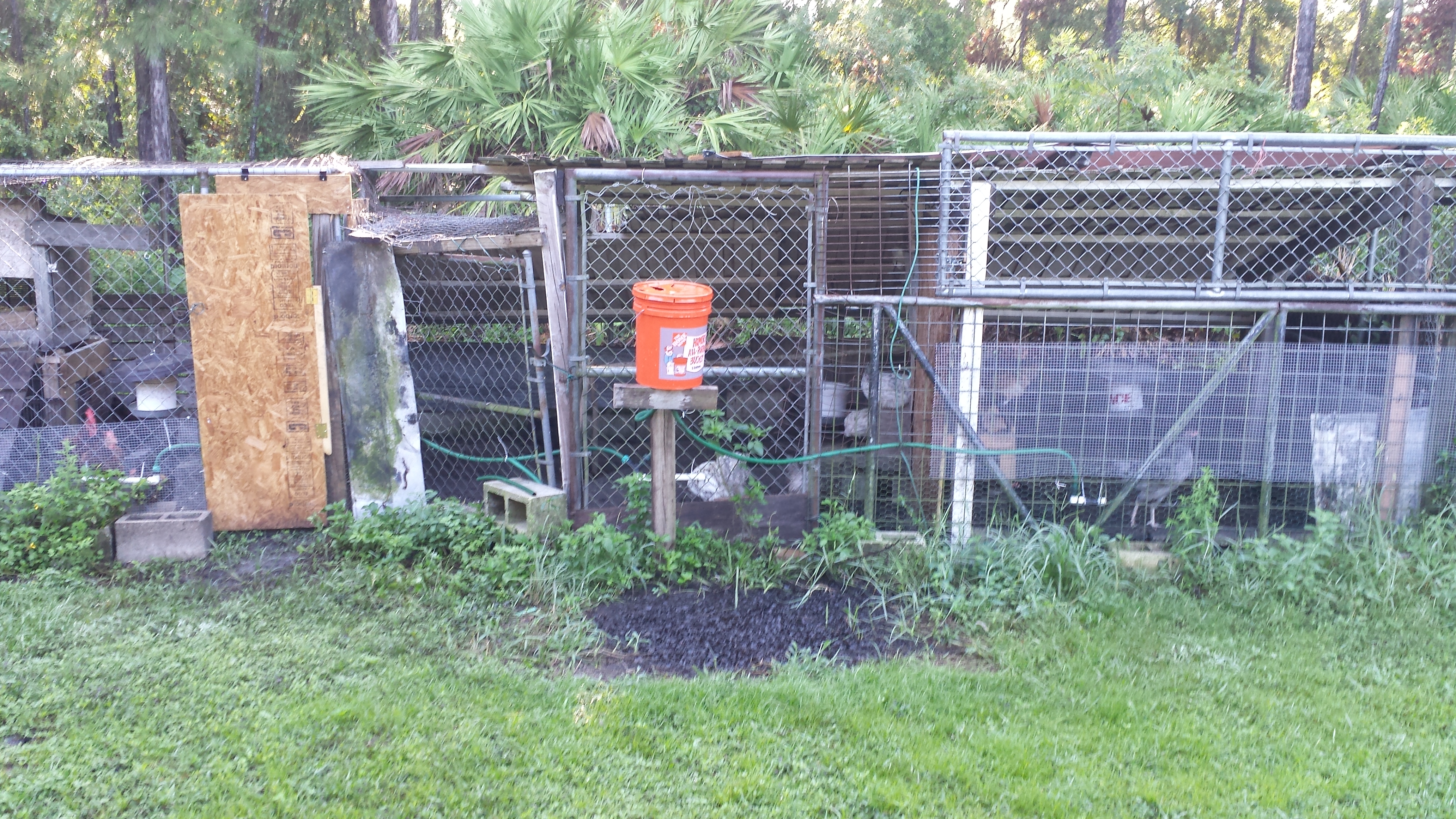 Three section coop expansion