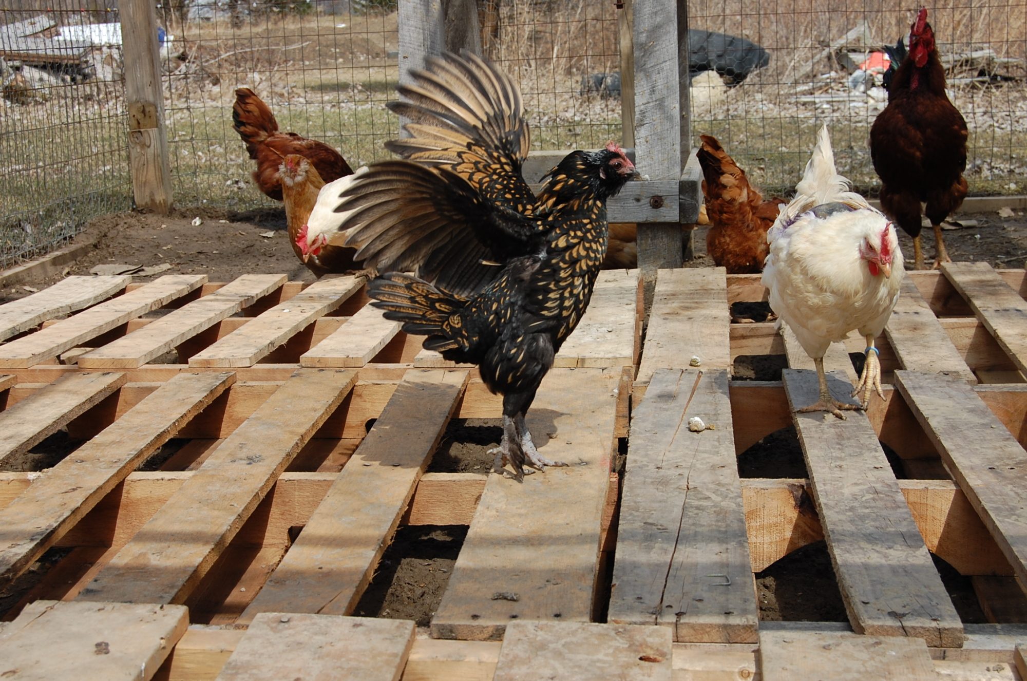 Thursday does the morning stretch