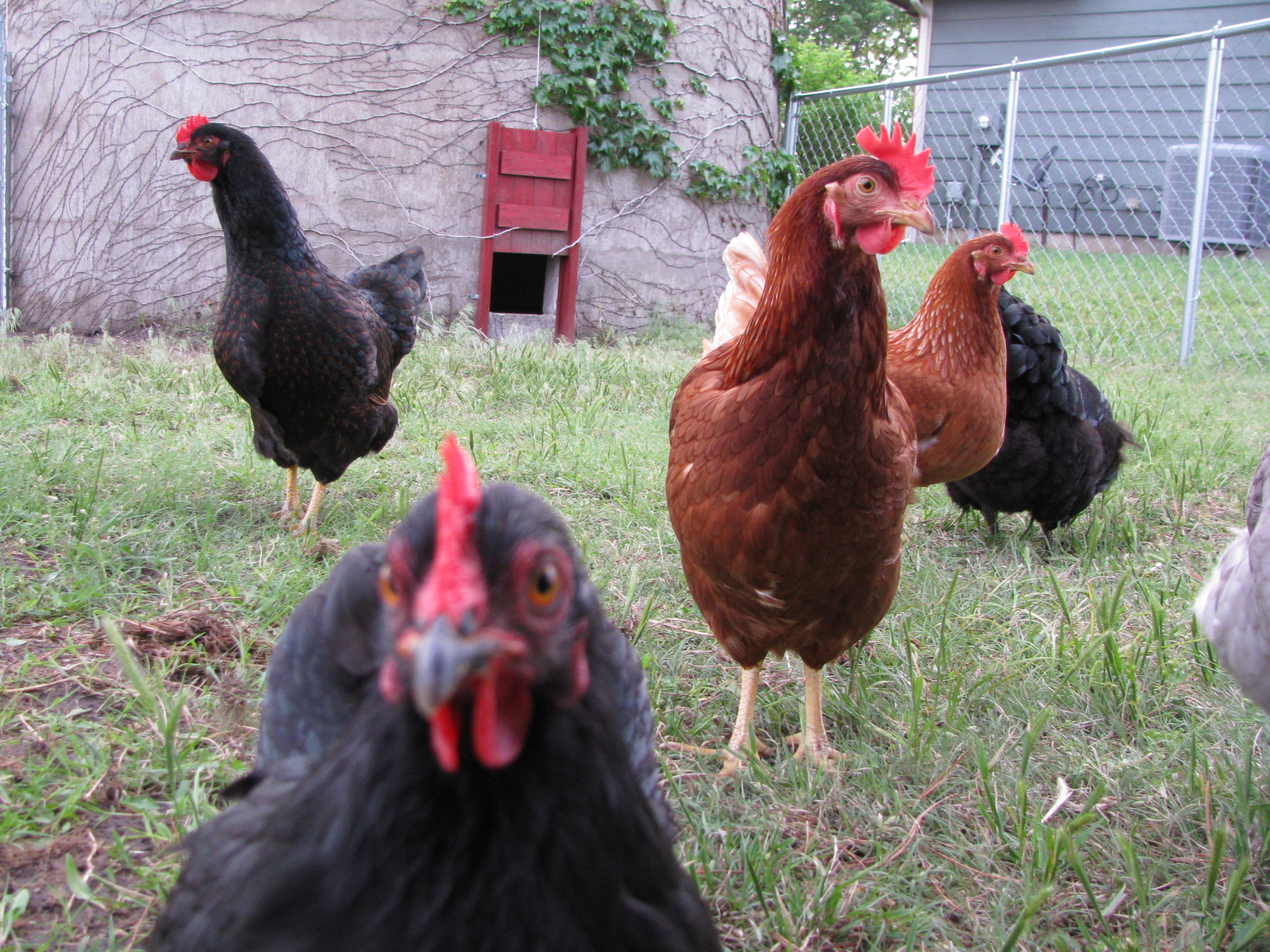 Tina, hangin' with her peeps!