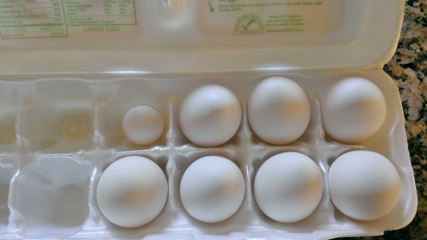 Tiny egg....had full yolk and all inside.