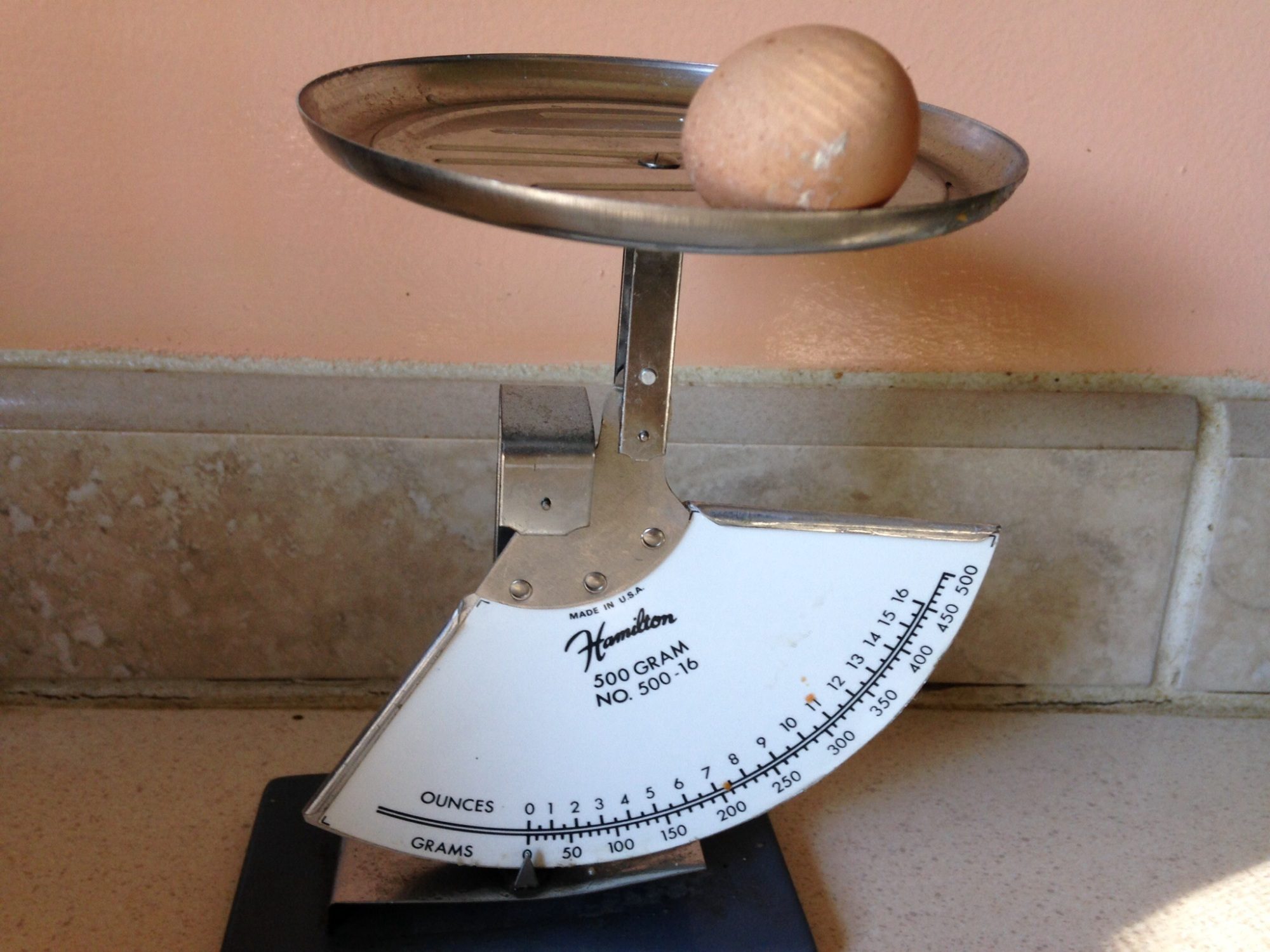 Tiny egg, just under 10 grams or barely 10 grams