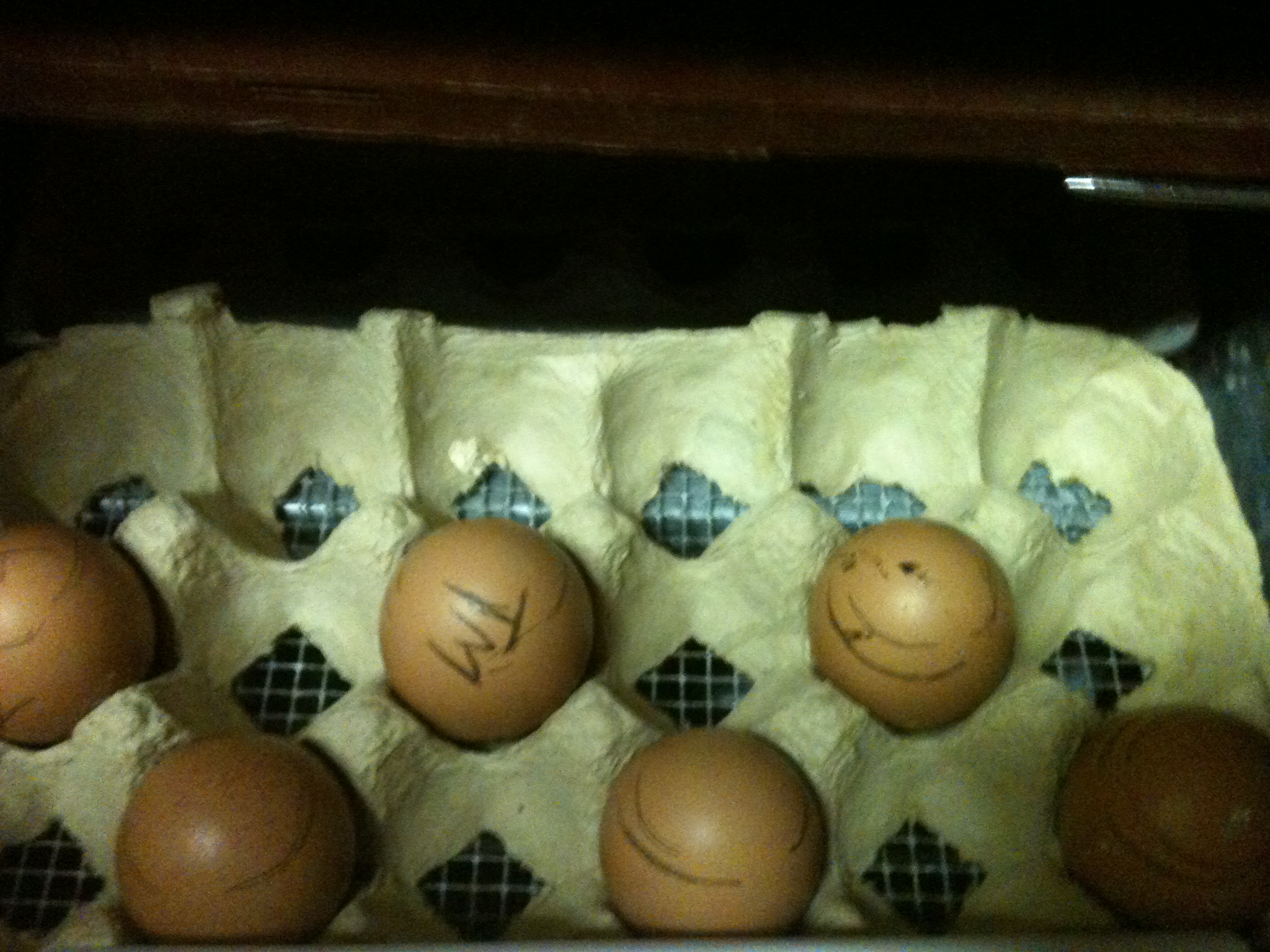 TM is the ones my daughter picked out for herself!