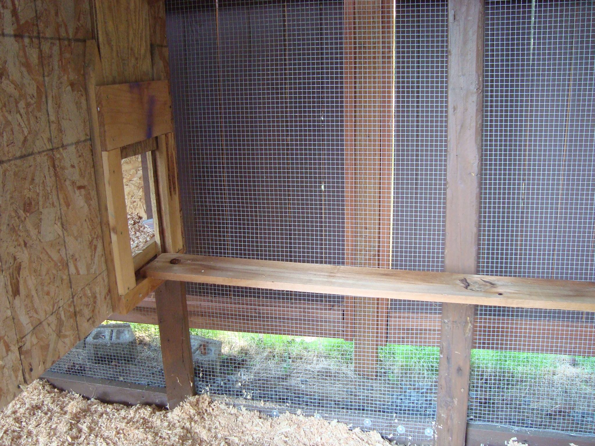 To maximize floor space I decided on the 'cat walk' - something I'd seen in other coops. My pop-door is manual operation for now until I get an automatic door opener. With mornings remaining dark later in the day, it's no bother for me to let the girls out myself as I'm up and about long before they would be.