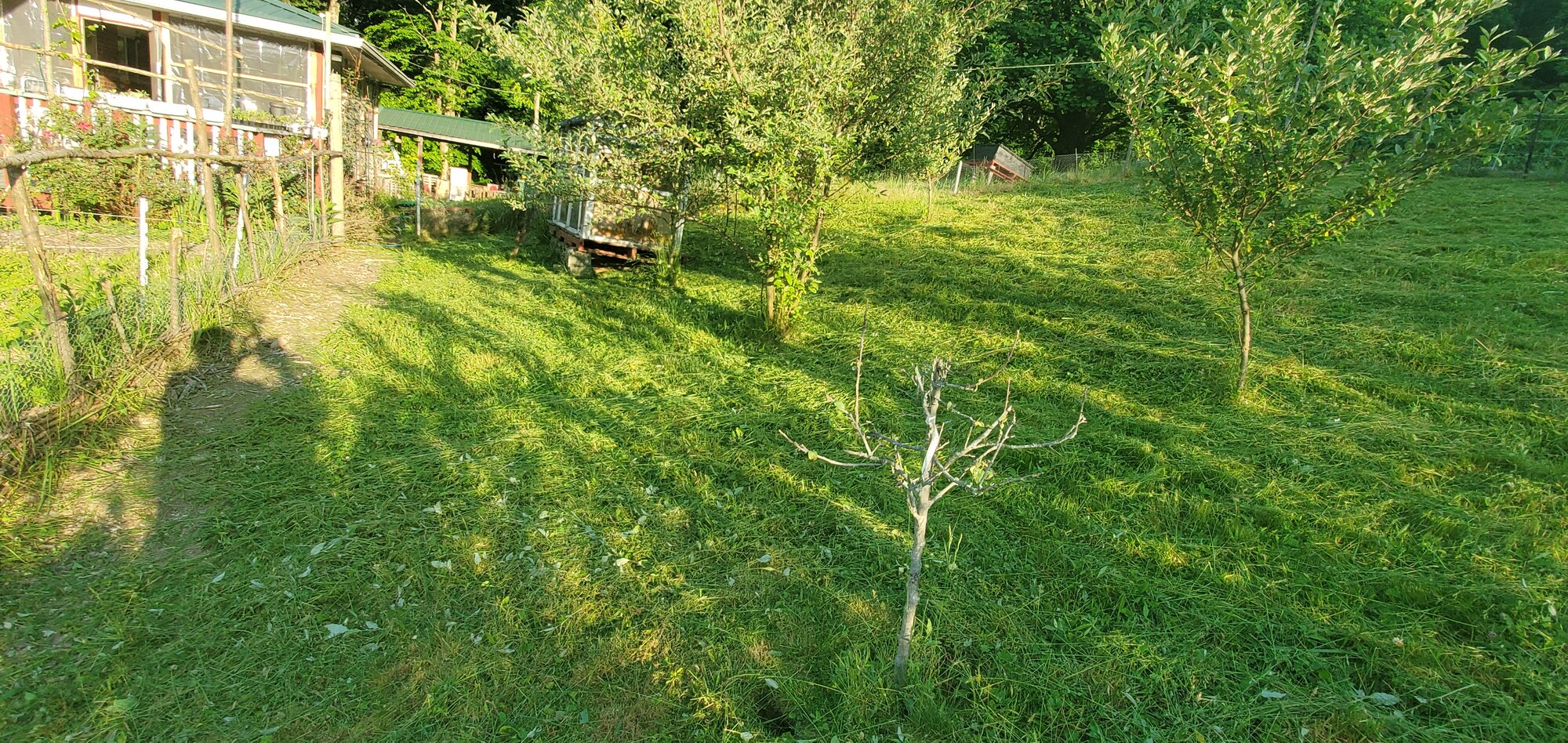Today was mow-day
