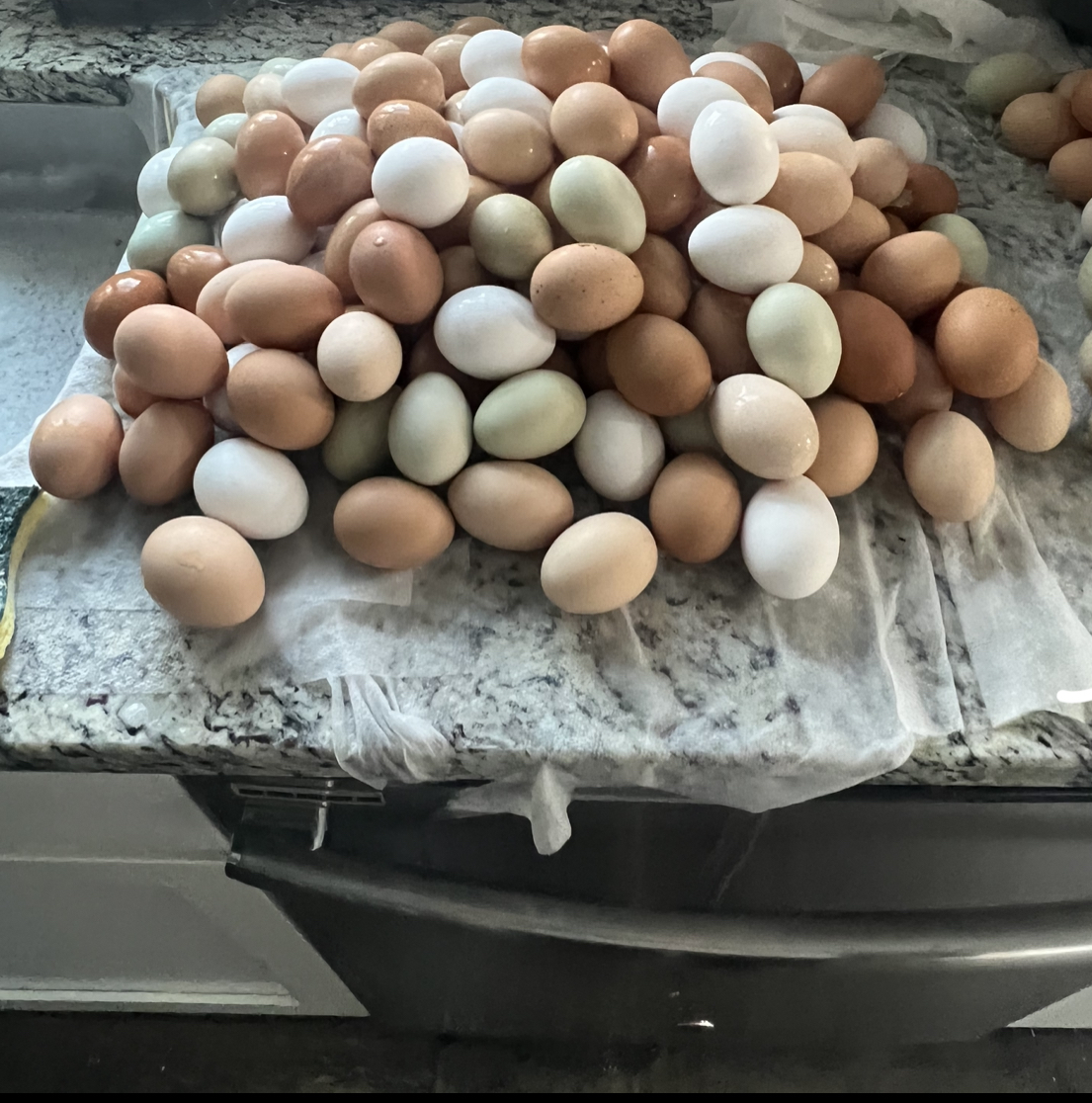 Too many eggs to wash