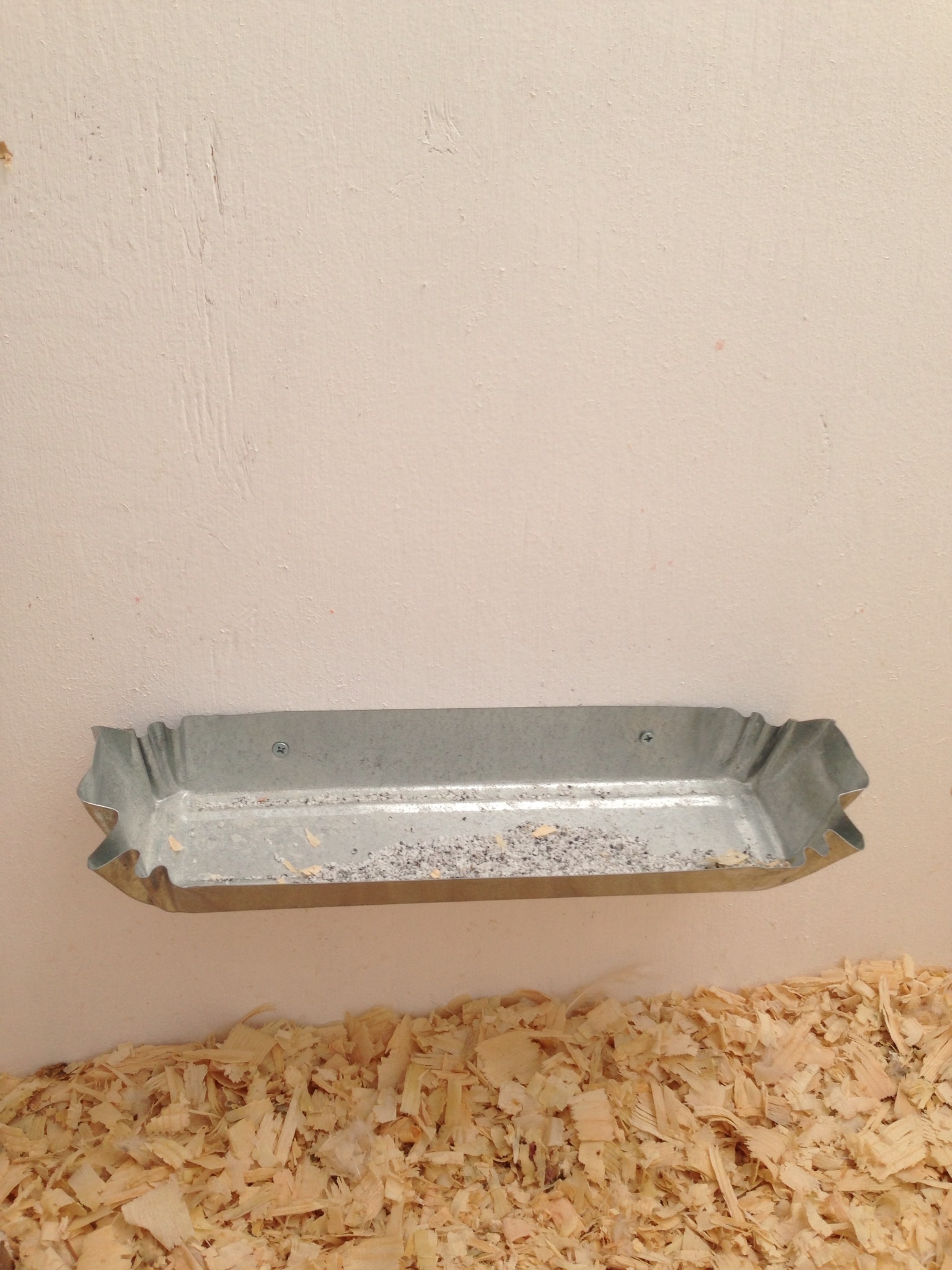 Took the lid off this floor poultry feeder & screwed it on the wall--for their grit
