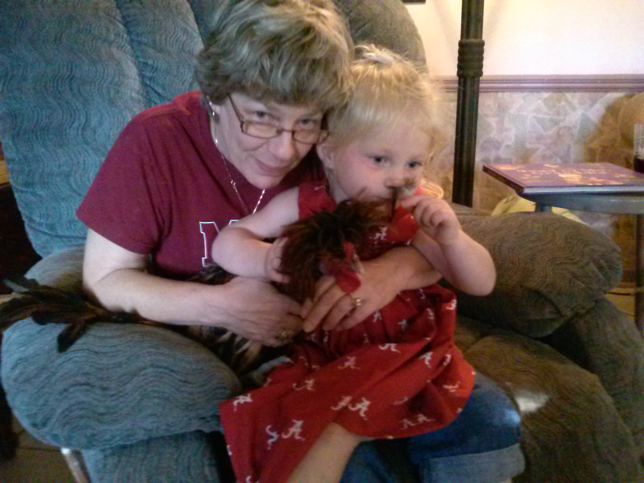 Top Notch (Golden Laced Polish) watching Alabama football
