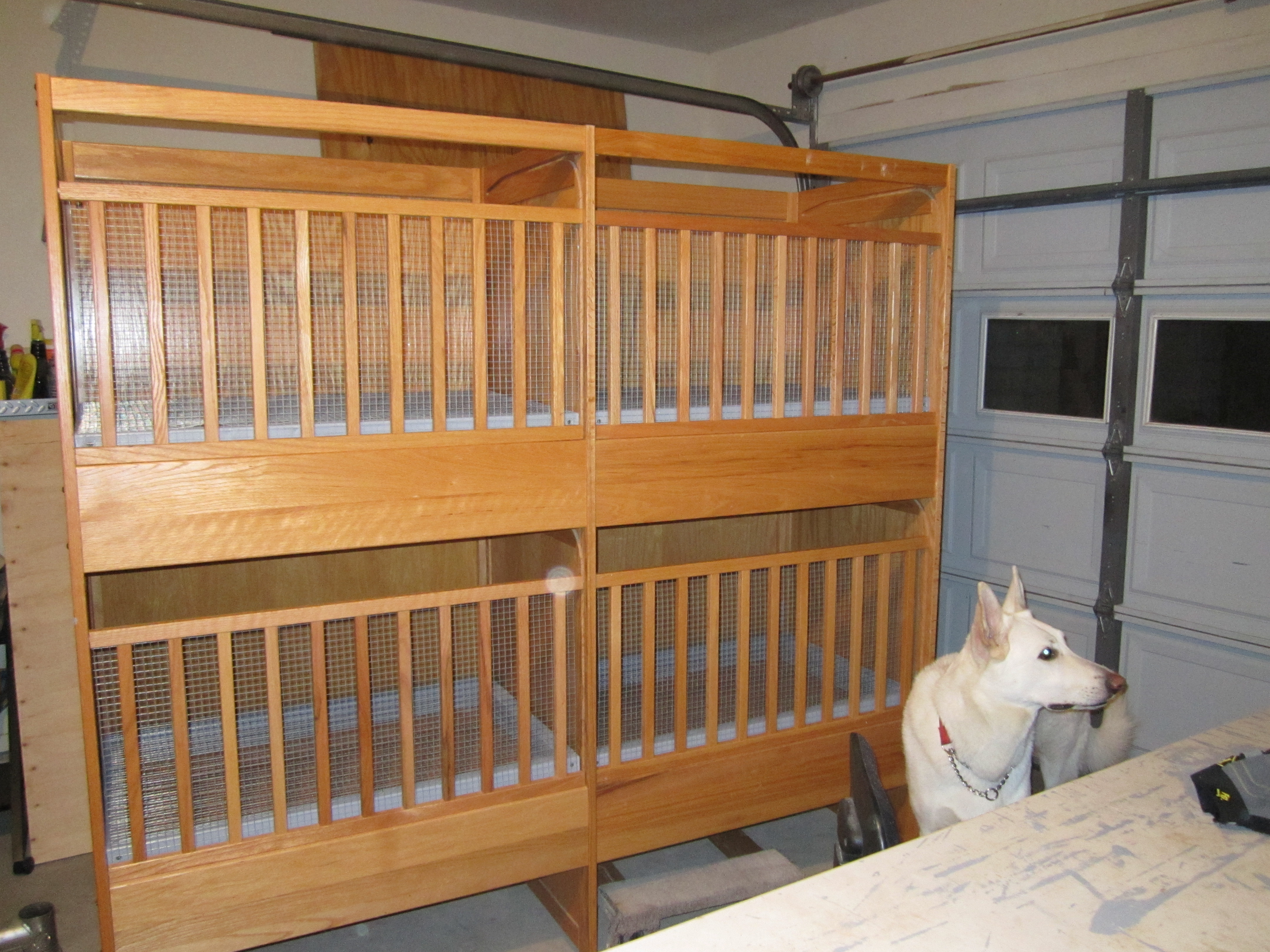 tops for new babys till 2 weeks & bottoms up to 4 weeks
we are gonna upgrade to ecoglows and get rid of heat lamps too have wire floors with pull out dropings trays