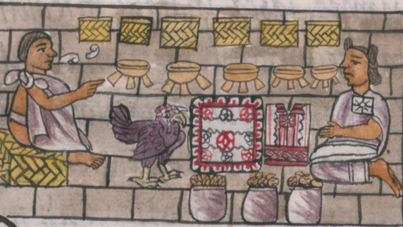 -Tracing the Wild Origins of the Domestic Turkey BY JOE SMITH