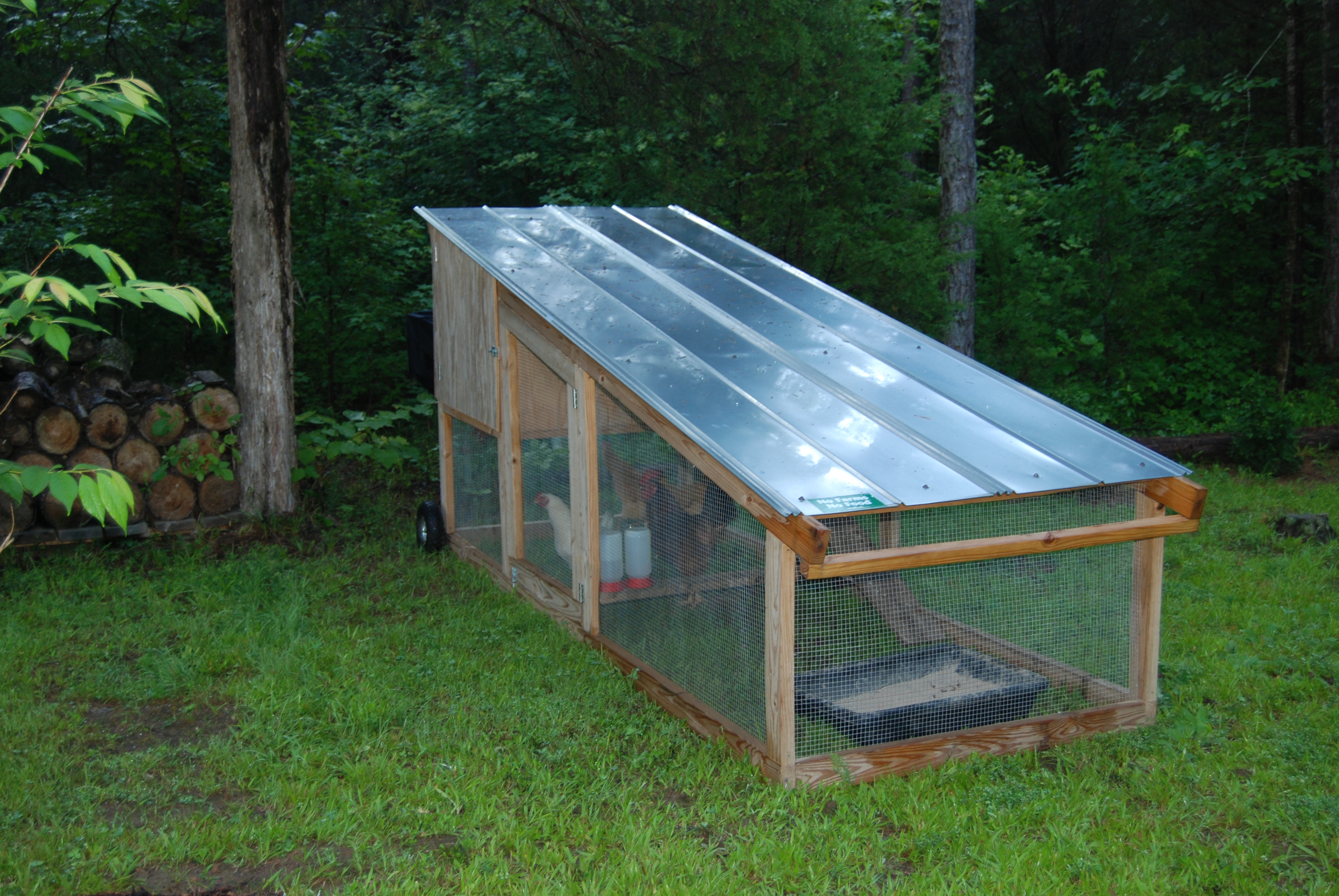Tractor coop purchased off Craigslist...came with 6 chickens