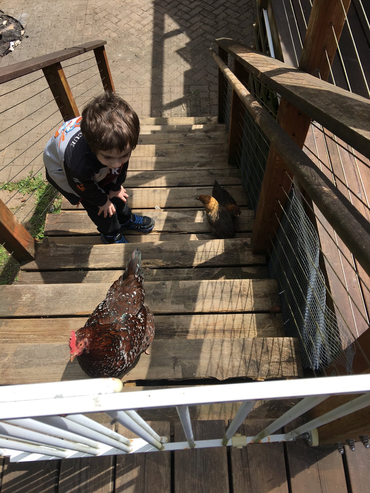 Traffic Jam on the stairs (May 2017).jpg