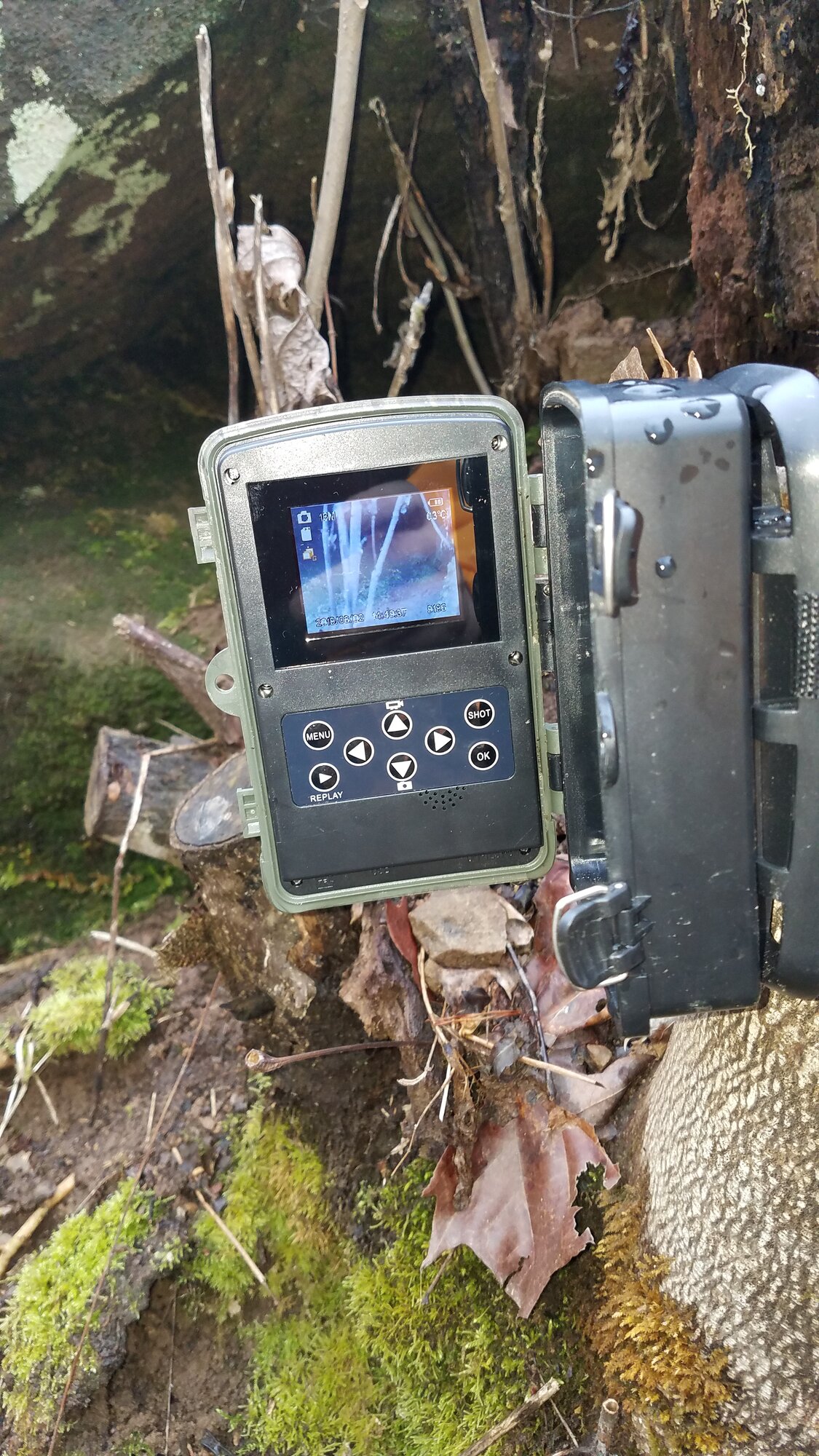 Trailcam, display in daylight
