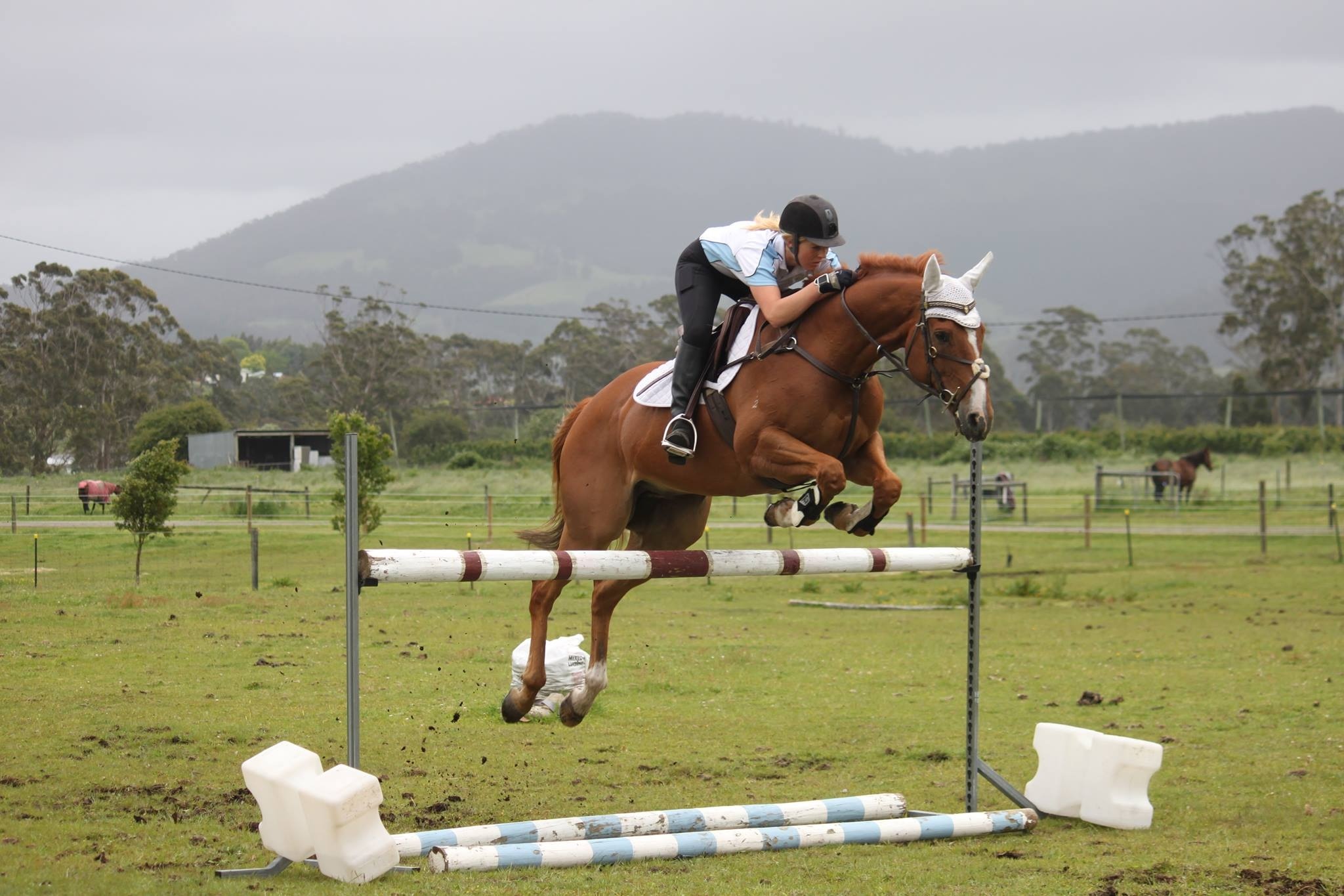 Training in the front paddock