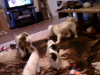 Treat time!