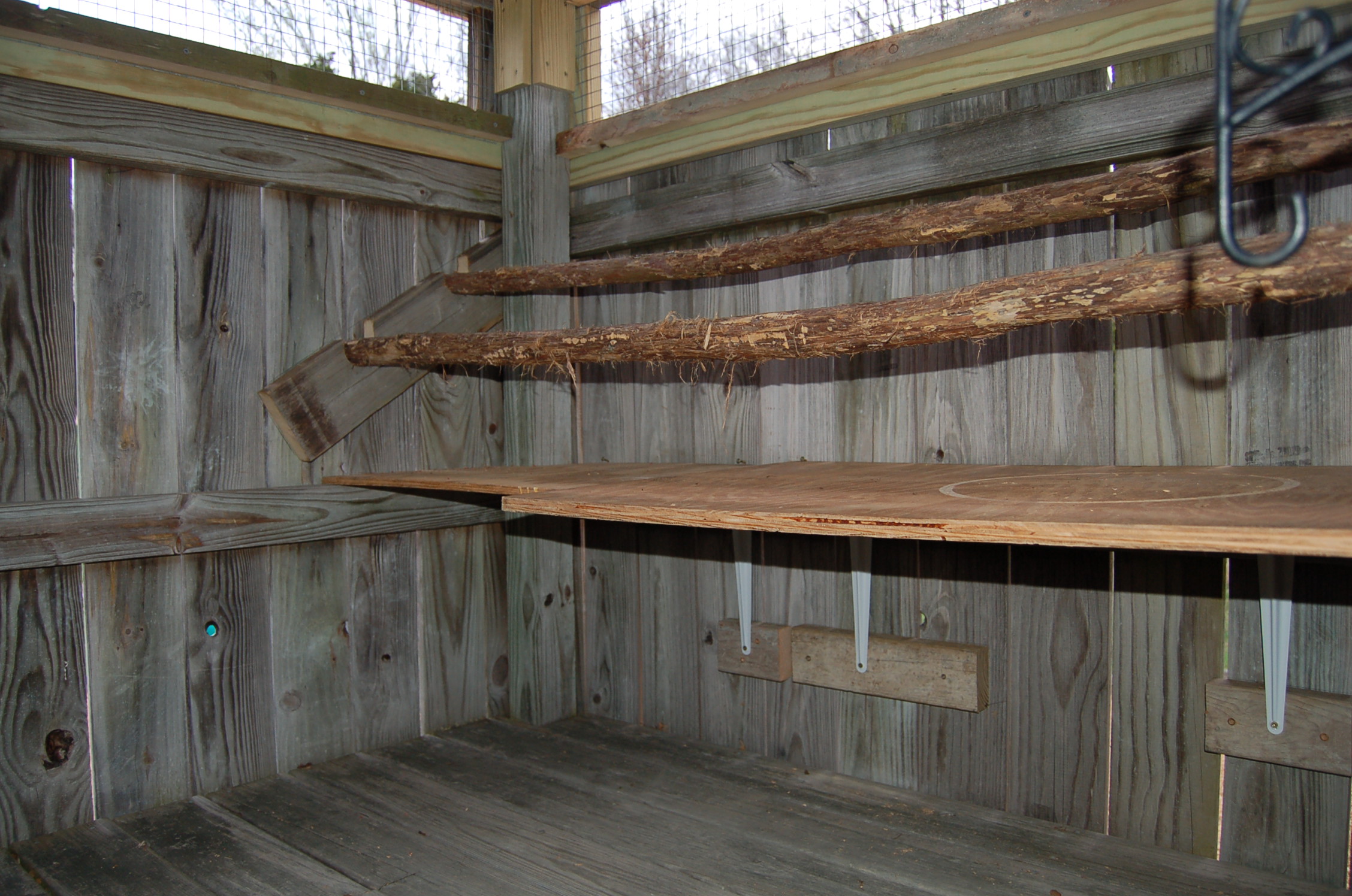 tree branches we used for the roosts above the dropping board.  We plan on covering the board with old linoleum after we replace the floor in our bathroom.  It's not too bad scraping off the poops, but it should be easier on the smooth linoleum.