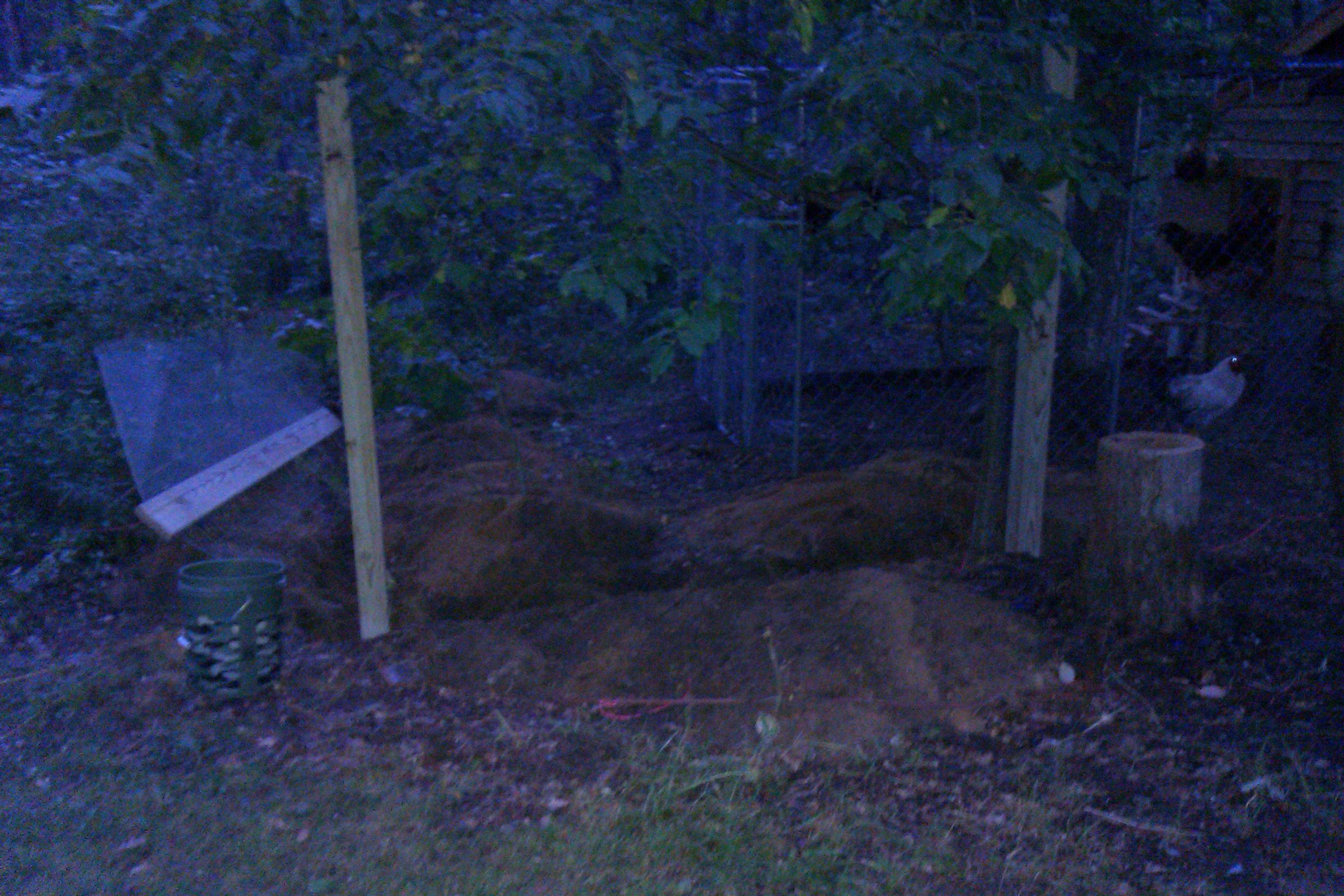 Trenches dug and fencing going up!