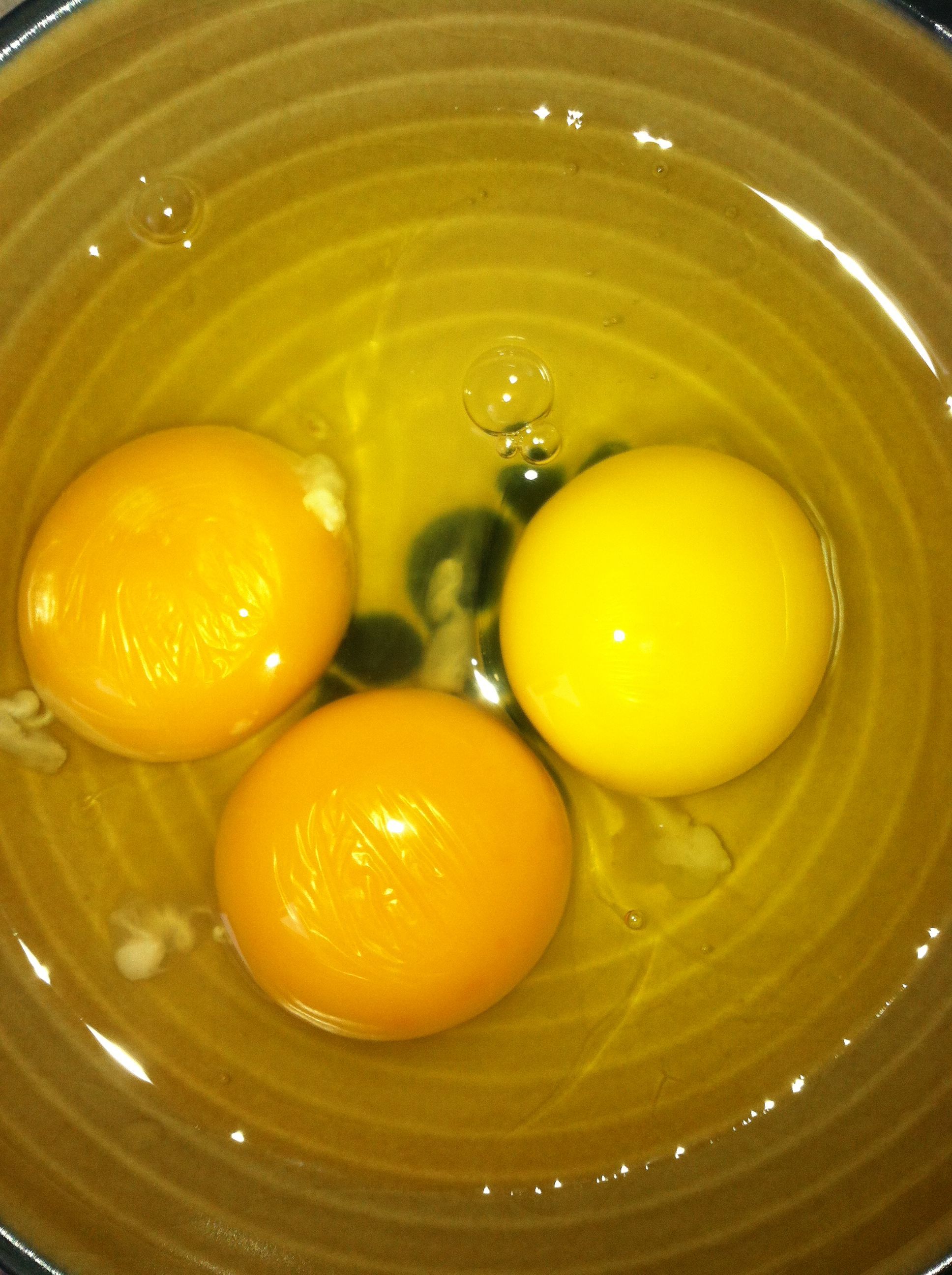Triple Yoke Egg!