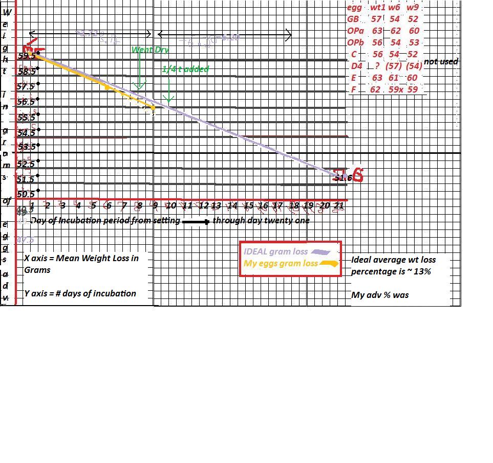 Trying to graph average weight loss in grams over incubation days.