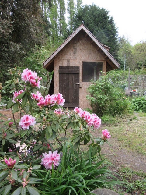 Tudor style chick house is finished and has been used for a whole year.