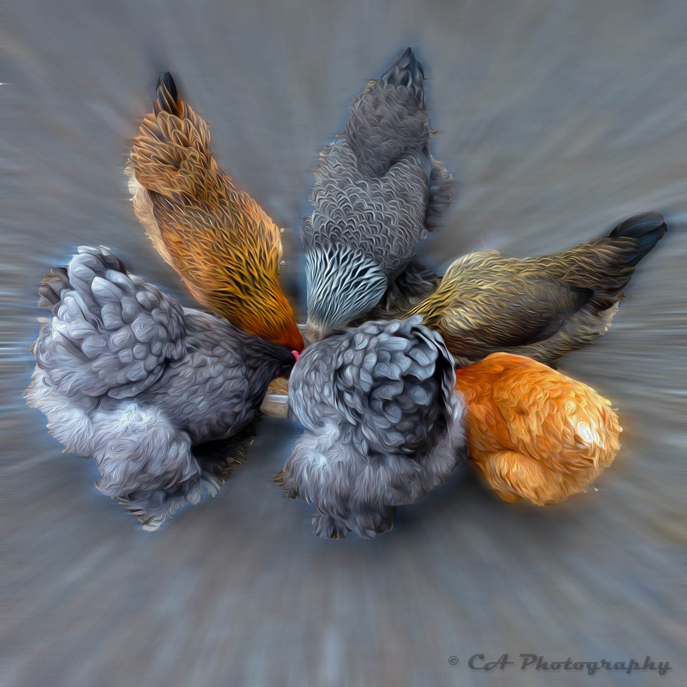 Turning my photos into Artwork.  If you are interested please feel free to contact me