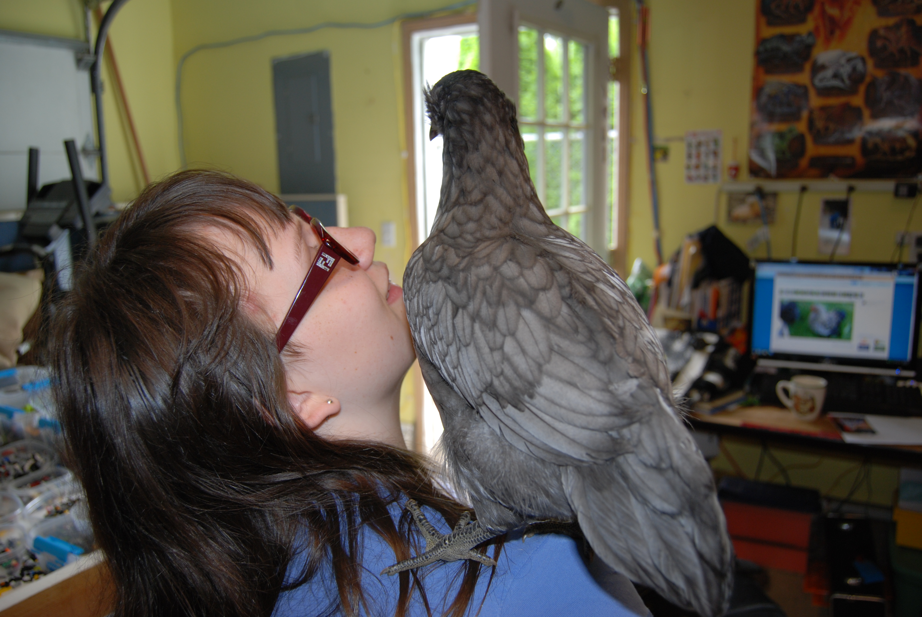 Twilight on Shalandra's shoulder June 29th
