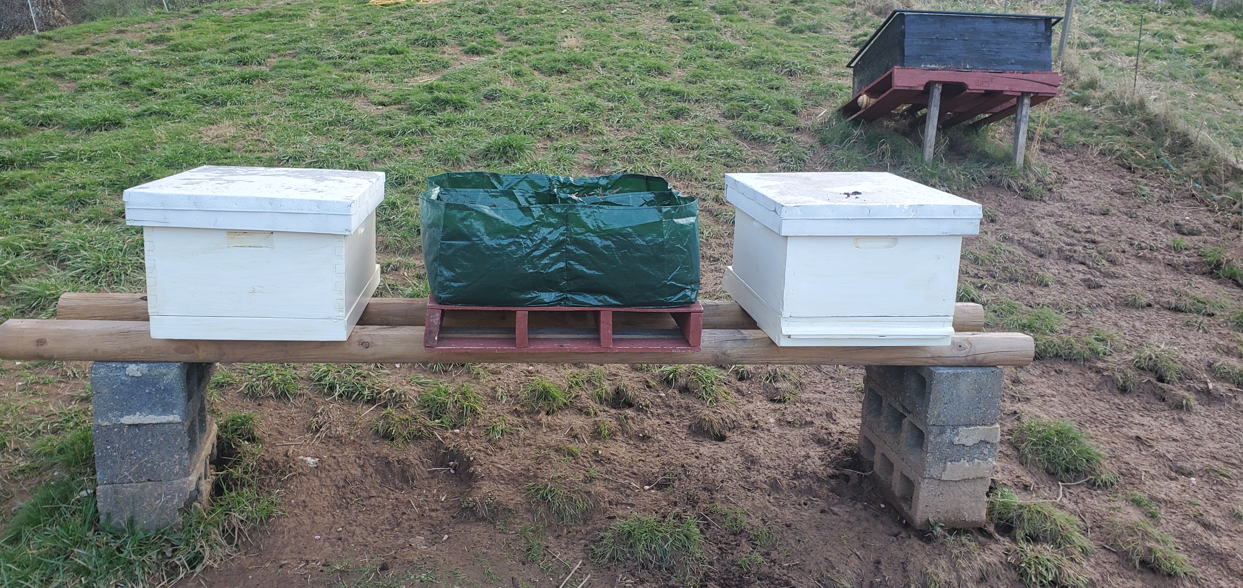 Two beehives with floating bed in between.