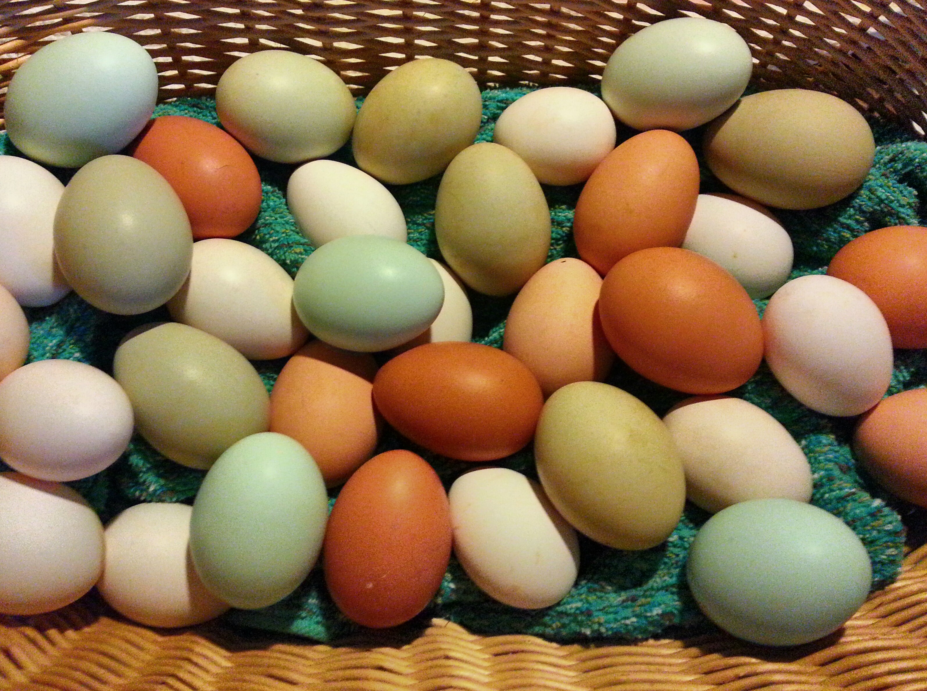 Two days worth of eggs!