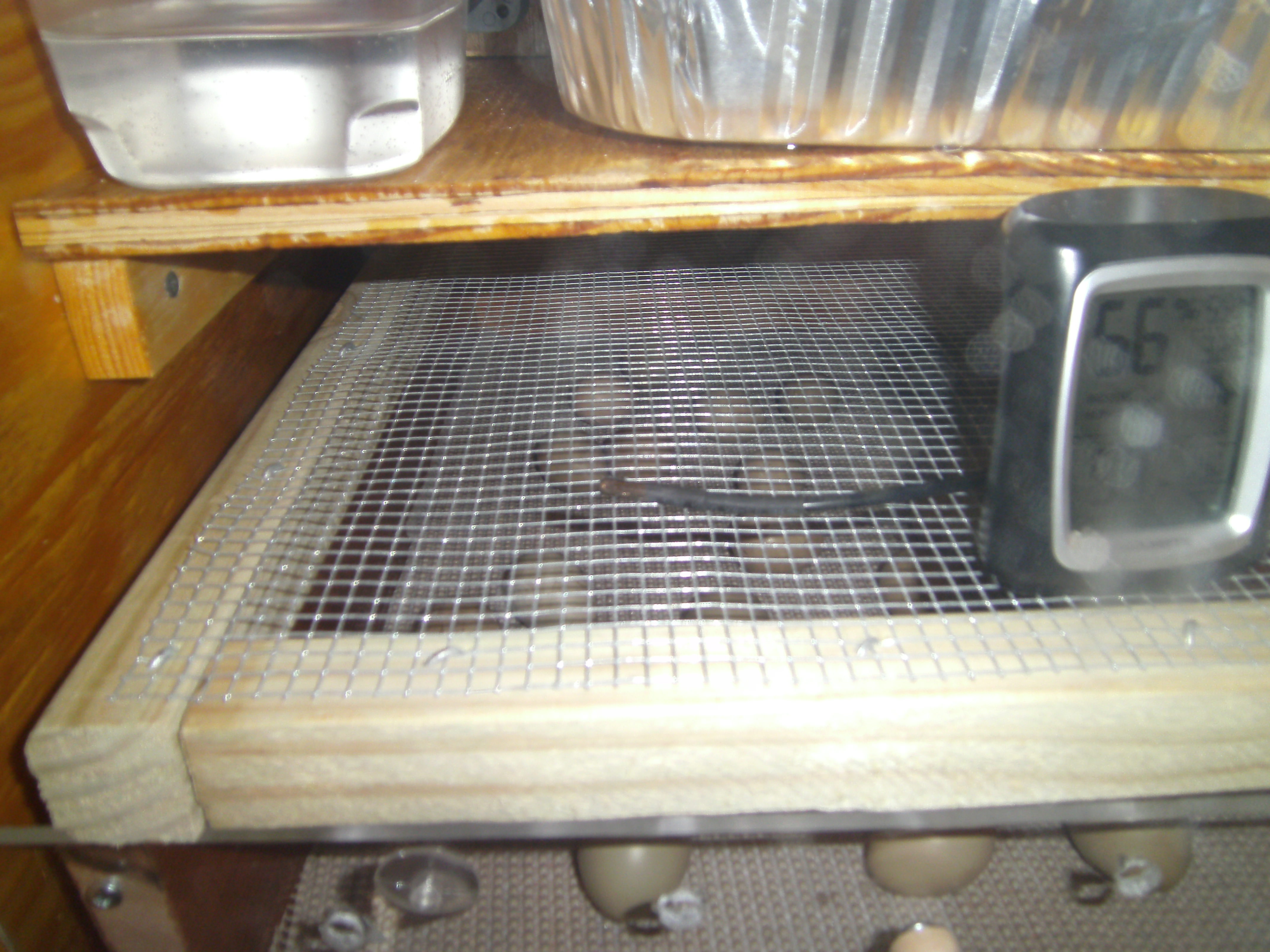 two drawer hatcher