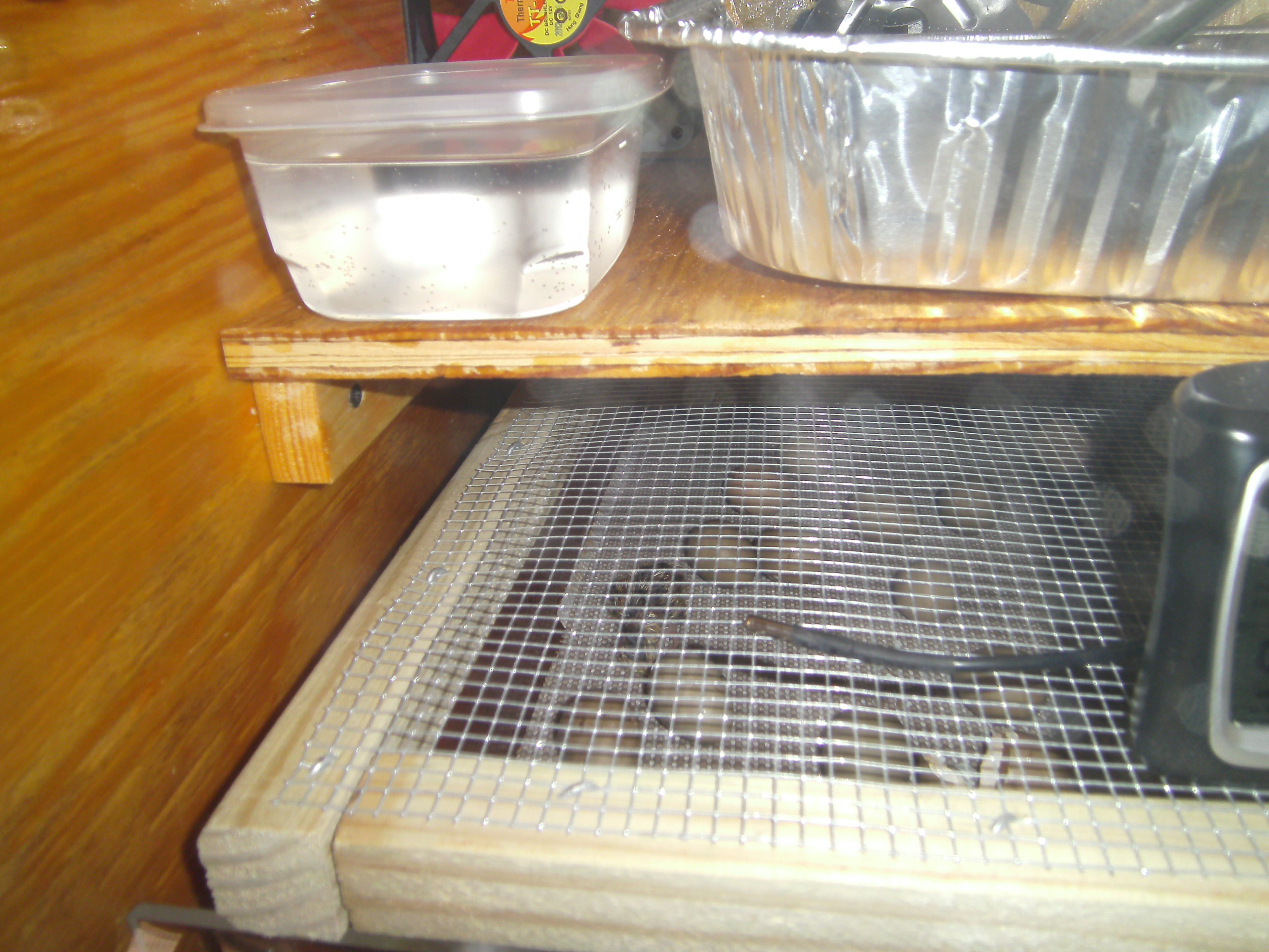 two drawer hatcher