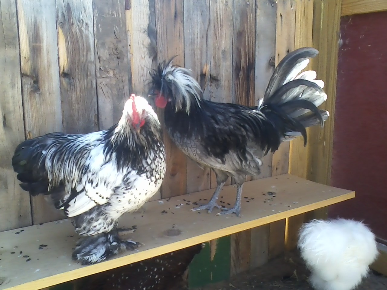 two good looking gentlemen.