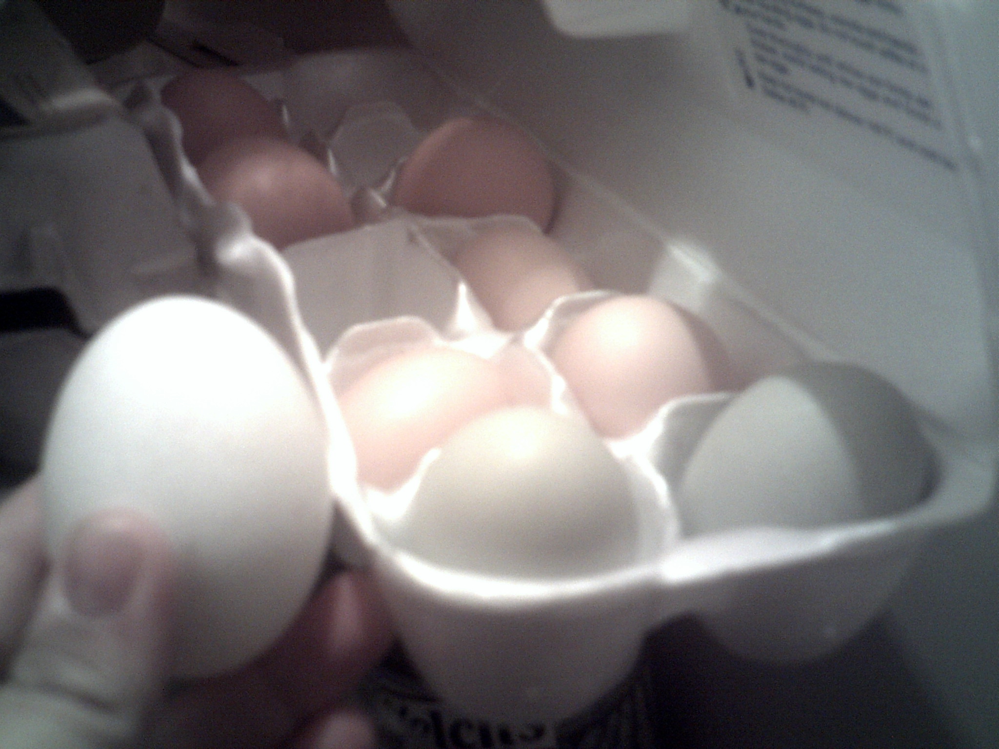 two olive eggs next to our other eggs that have been layed by my other chickens