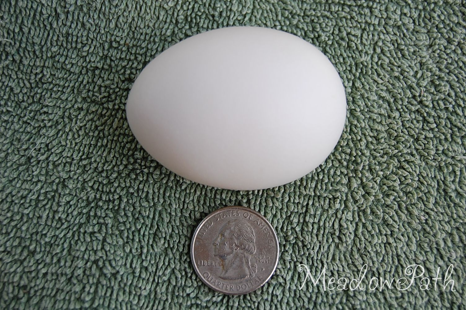 Typical Jaerhon egg