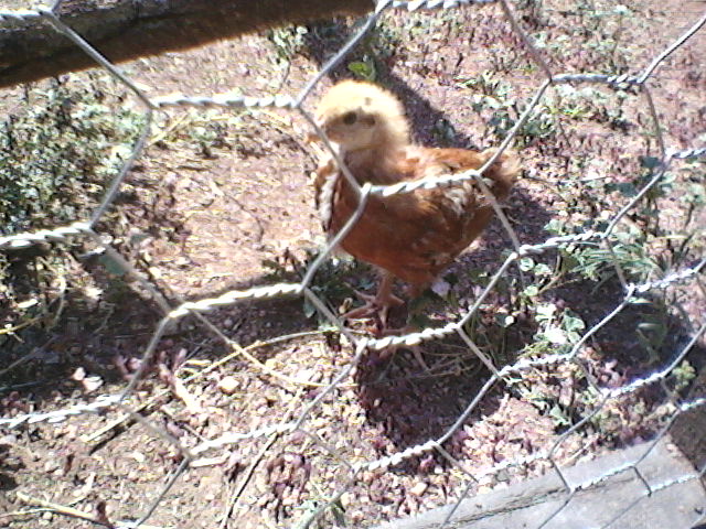 typical red head.. all the way!  :D