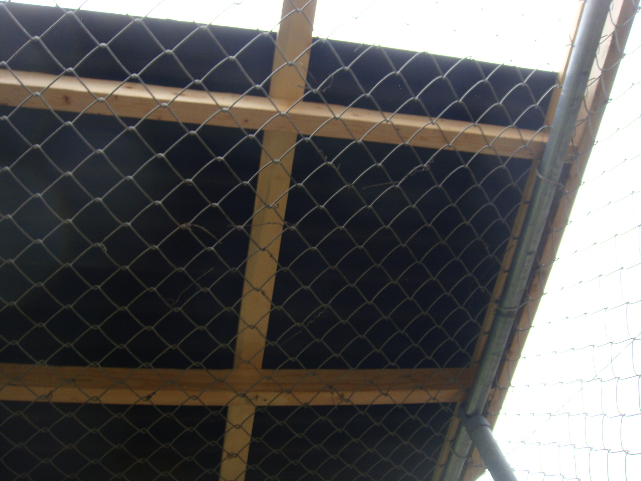 Underside of roof prior to adding vertical supports on east (right) side to provide roof  pitch.