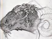 Unfinished

Pencil scketch dragon in progress..