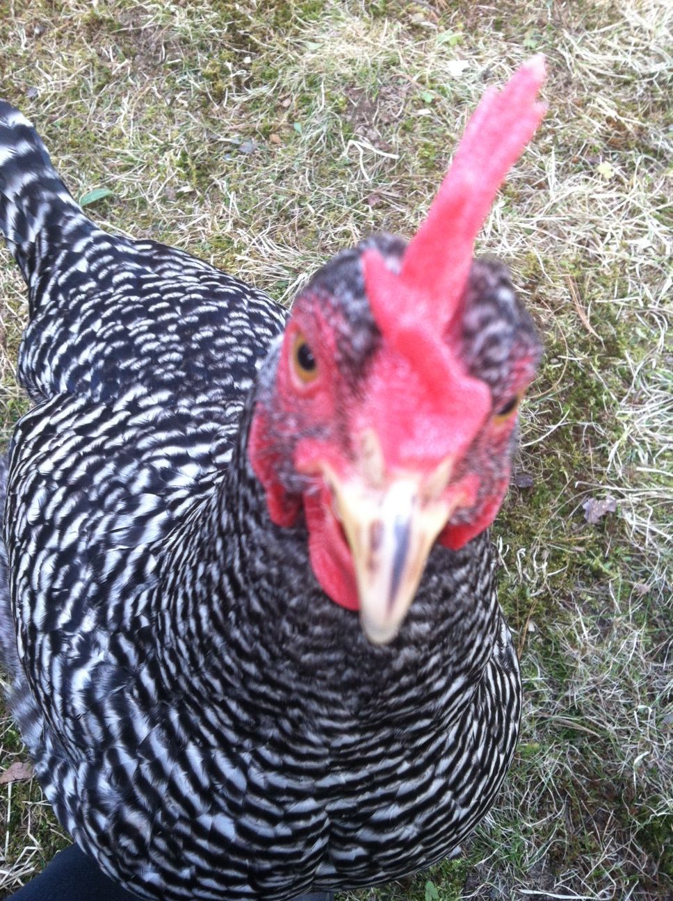 Up close and personal