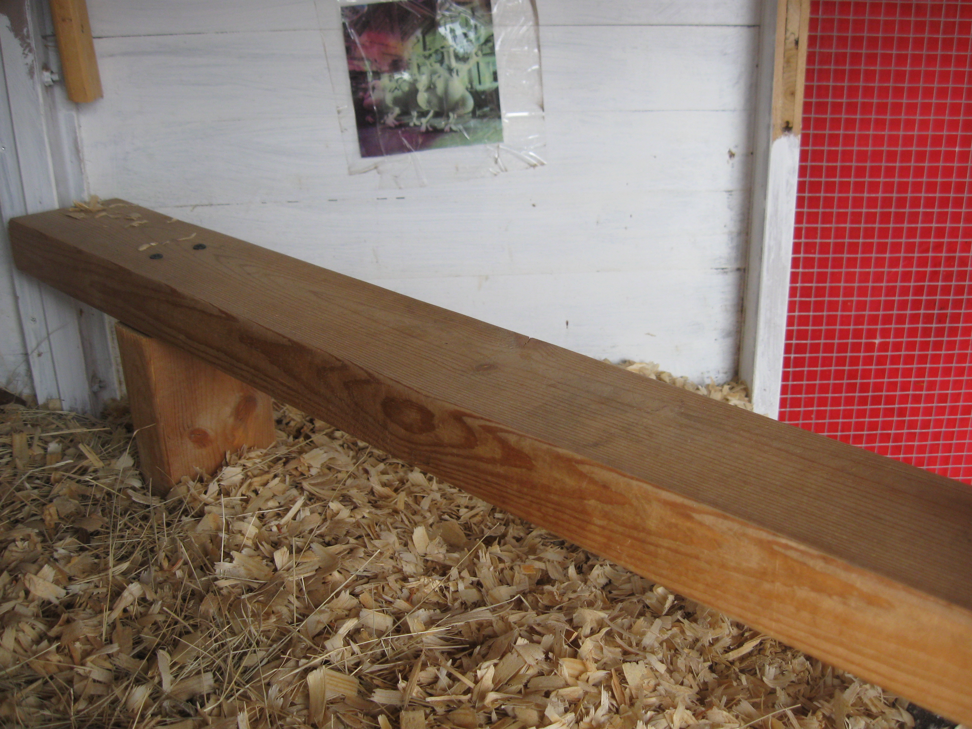 Upstairs roost. This was not in the original coop, but we added it as soon as the girls got big enough. The roosts that came with the kit were too skinny.  I like them to be able to cover up their toes in the winter time to keep them warm. A wider roost just seems like it would be more comfortable.