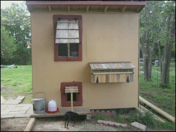 used all reclaimed materials to build the nest box, awning shuttes, deck and window framing.