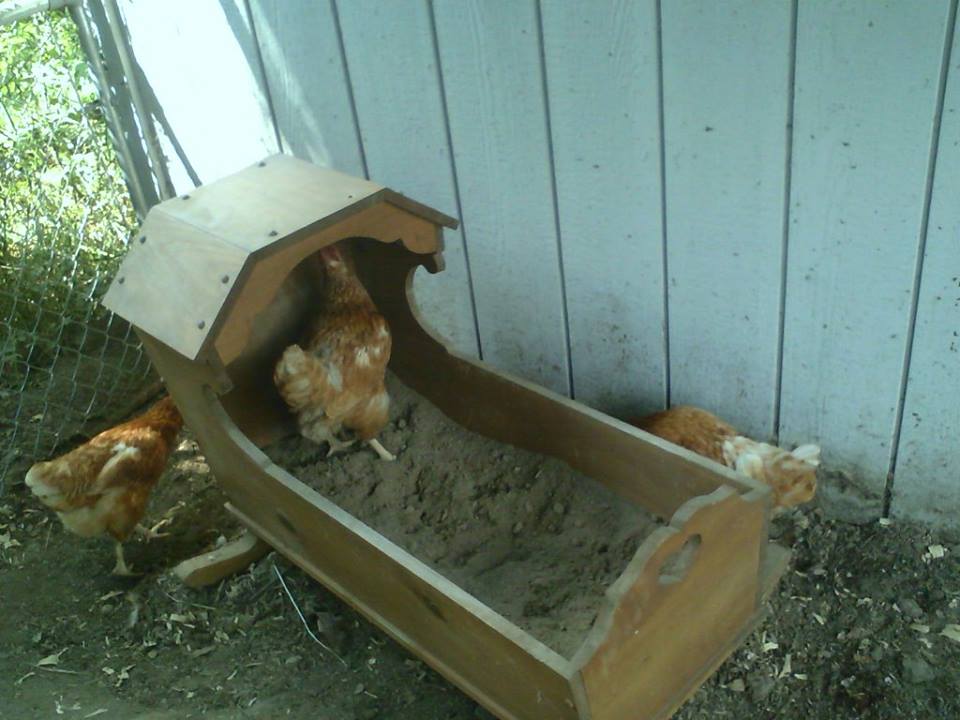 used an old cradle for a dust bath