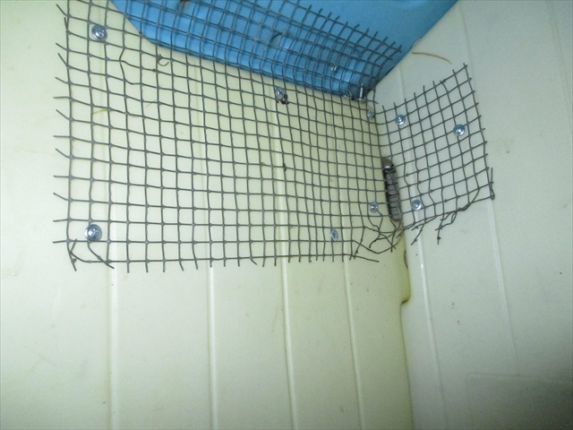 Used hardware cloth where there were gaps