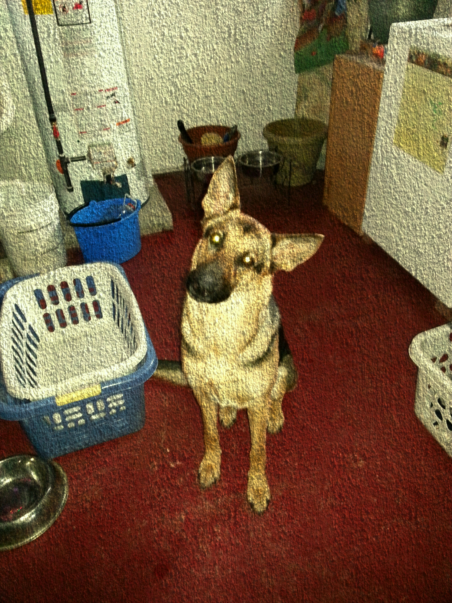 Valentine Von Rose 2 years old