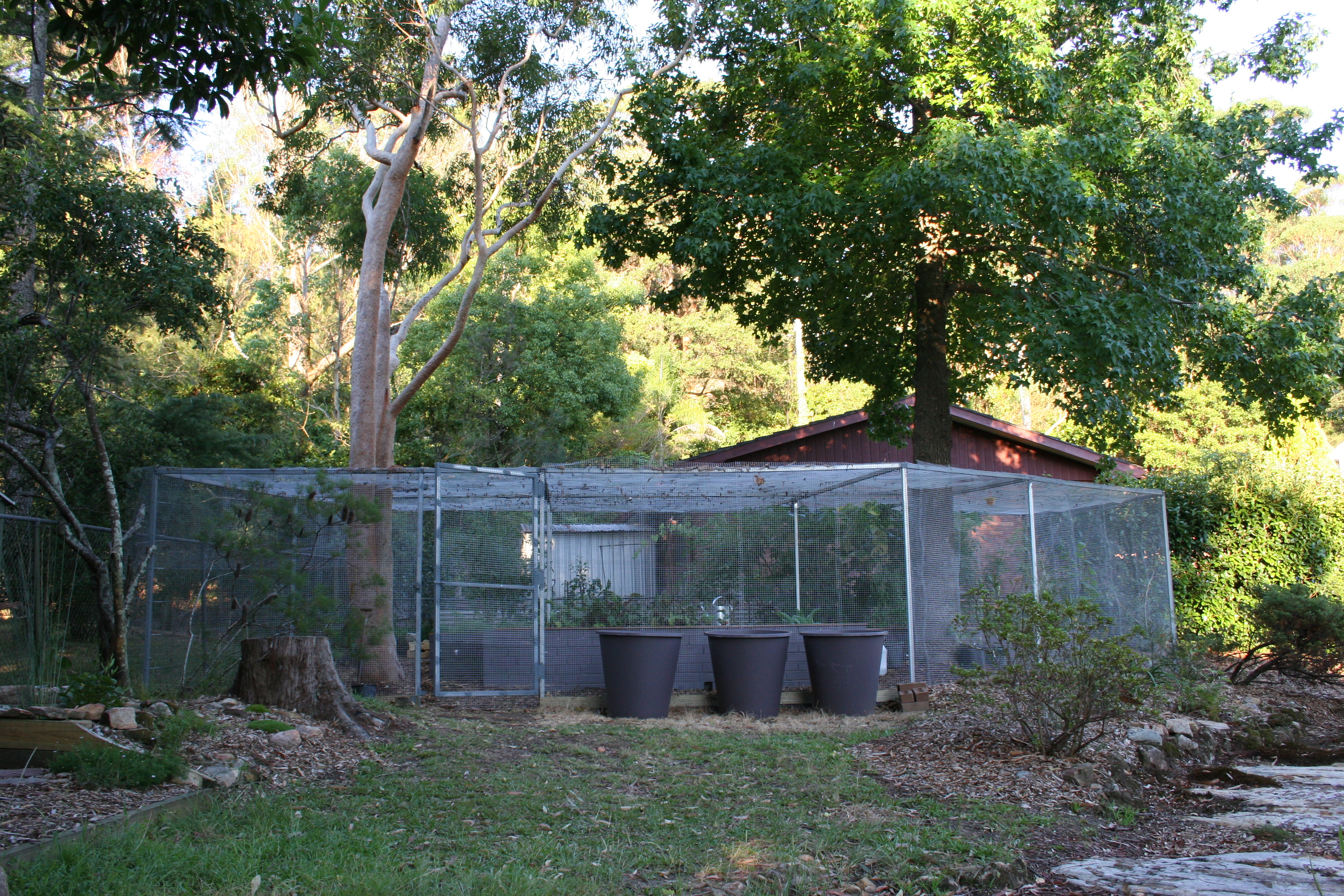Veggie garden - raised brick beds with galvanised steel frame and wire netting