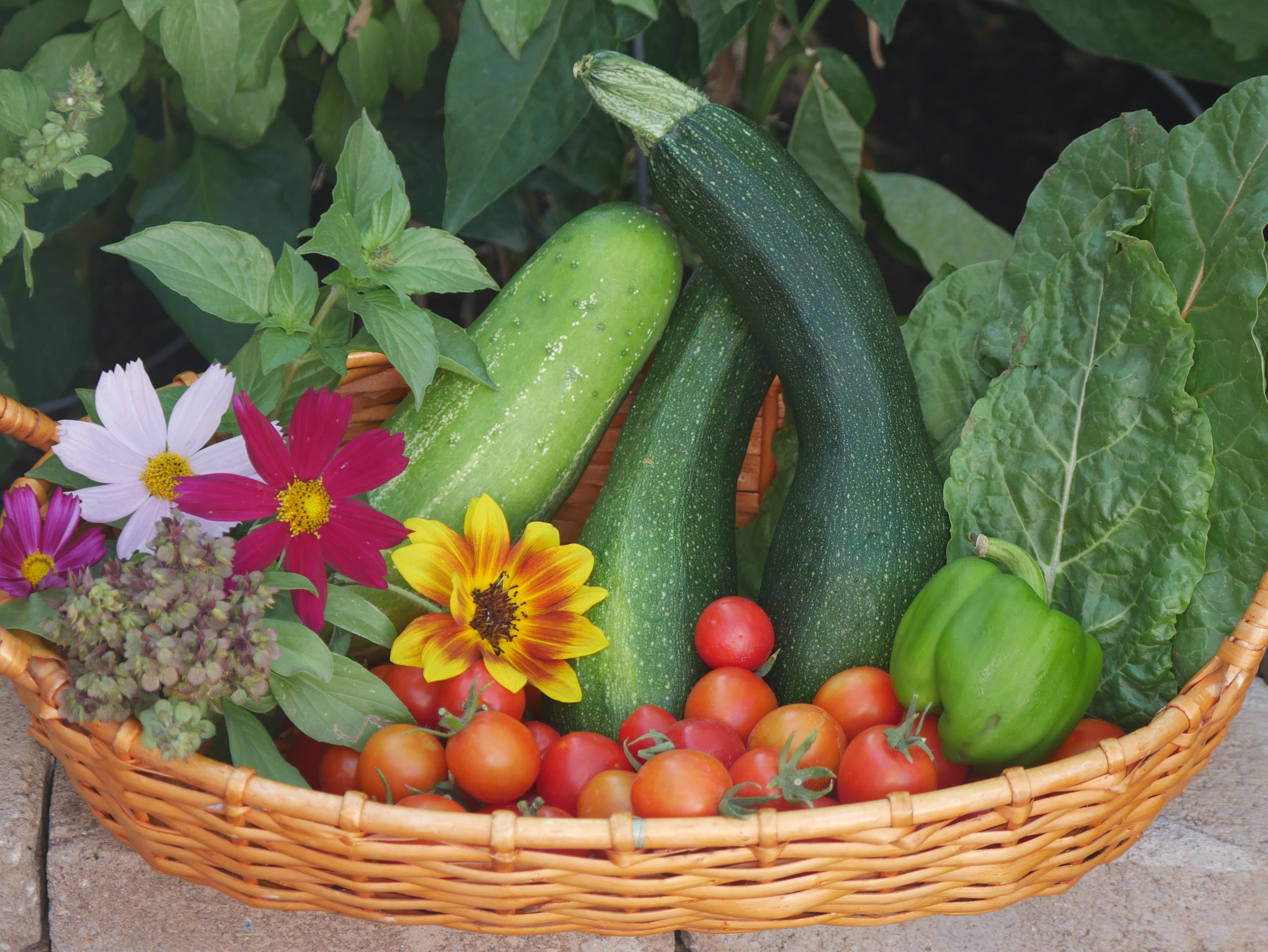 Veggies from my garden