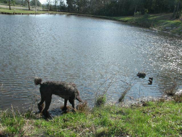 Verity by our catfish pond.