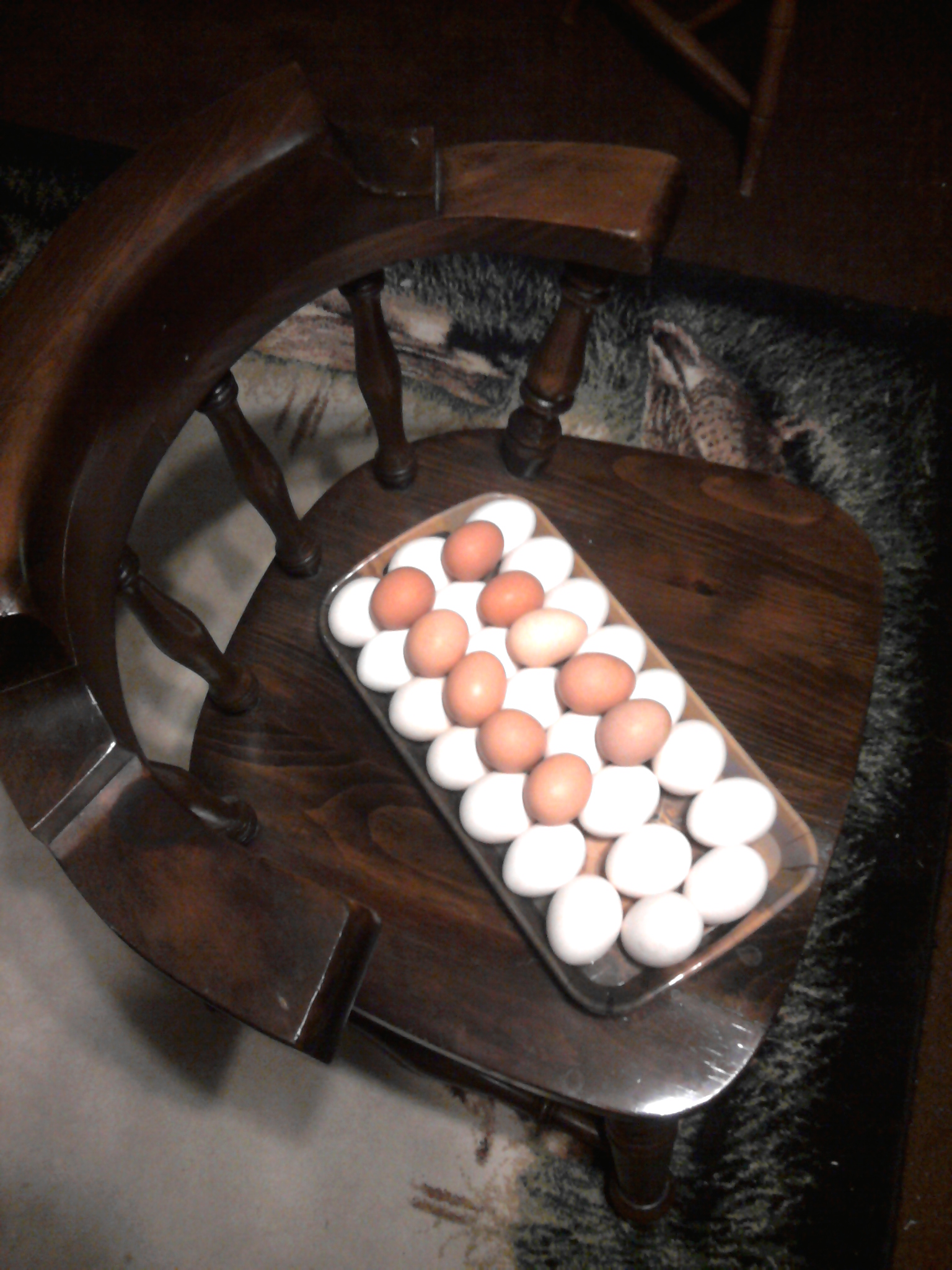 Very excited when the girls started laying!
These are all the eggs that we collected over the course of two days.