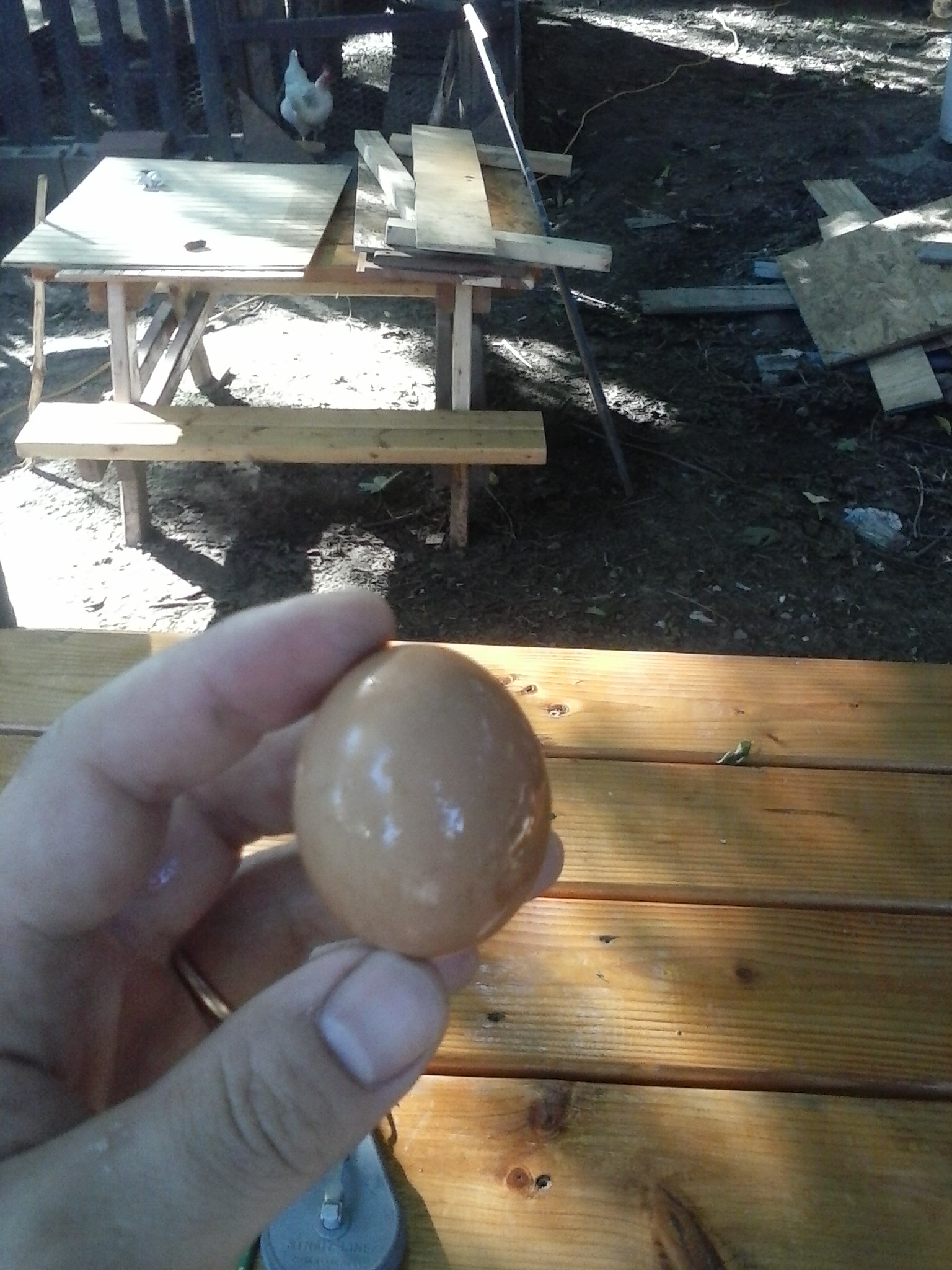 very first egg